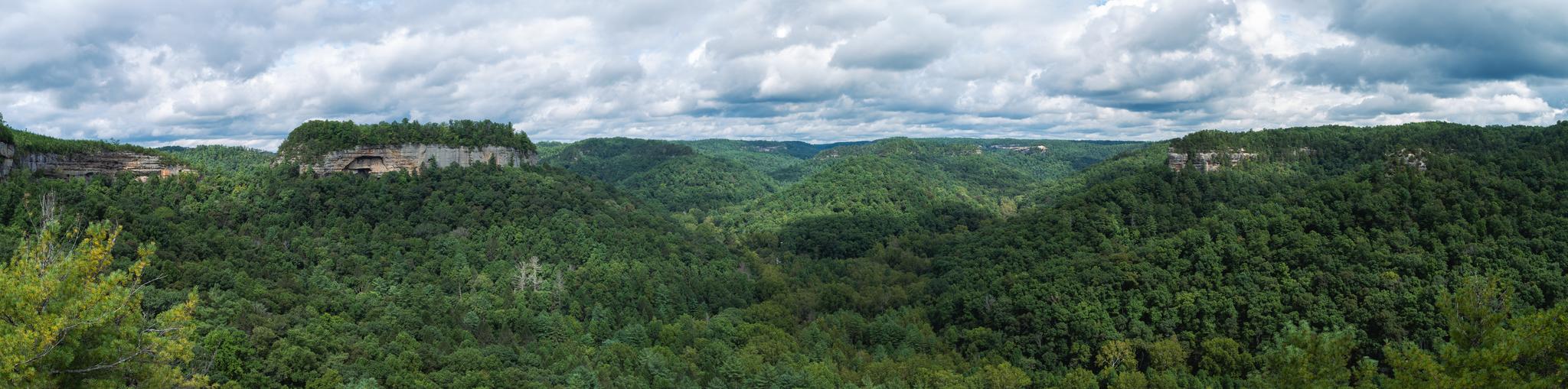 Panoramic view of lush green forested valleys under a cloudy sky.