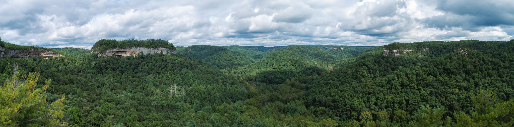 Panoramic view of lush green forested valleys under a cloudy sky. - Rush Ridge to Hanson's Point Loop
