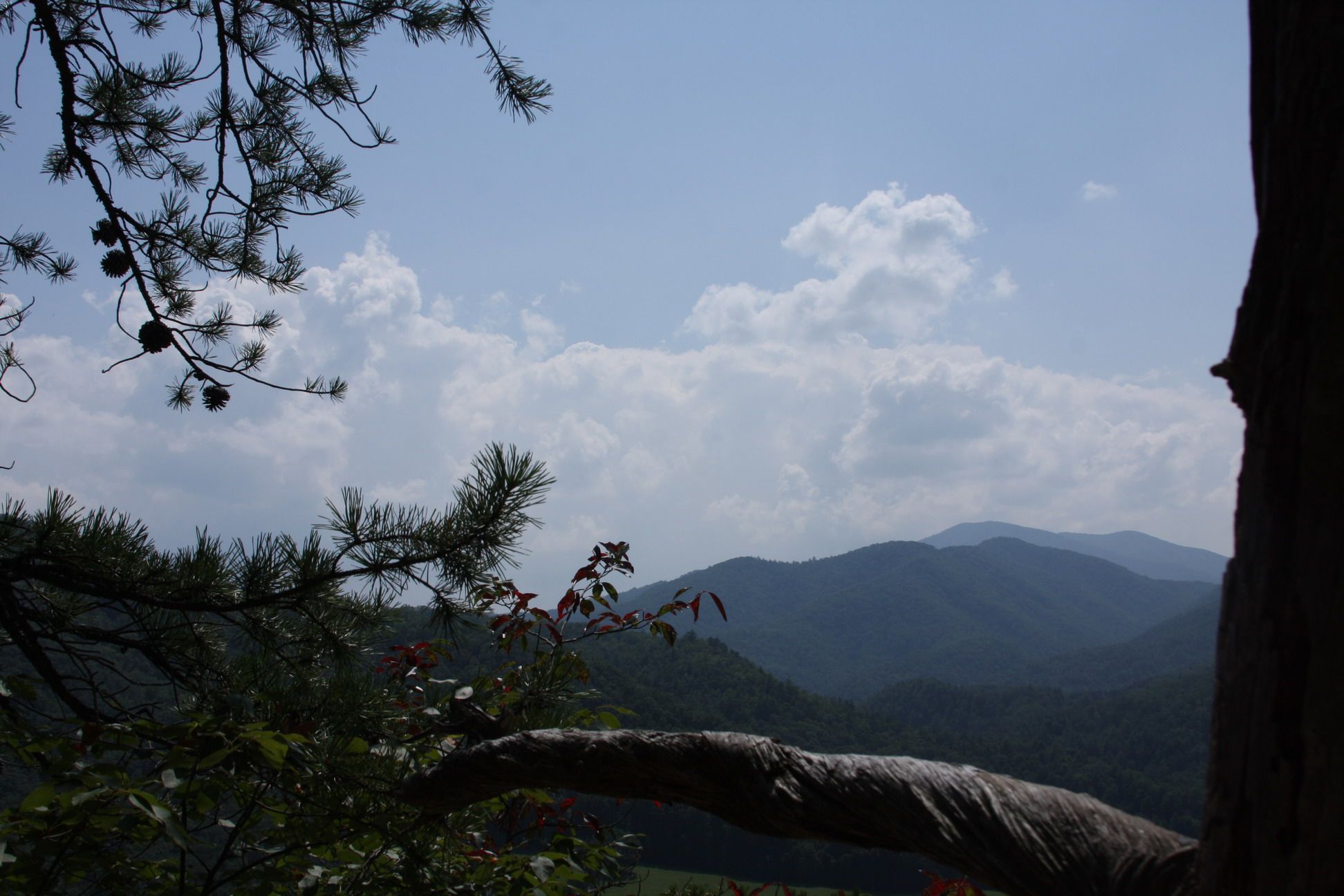 Distant mountains under a cloudy sky, framed by dark tree branches. - Lover's Leap and Pump Gap Loop