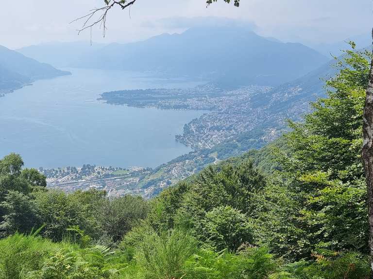 Aussicht über Lago Maggiore Radtouren und Radwege komoot