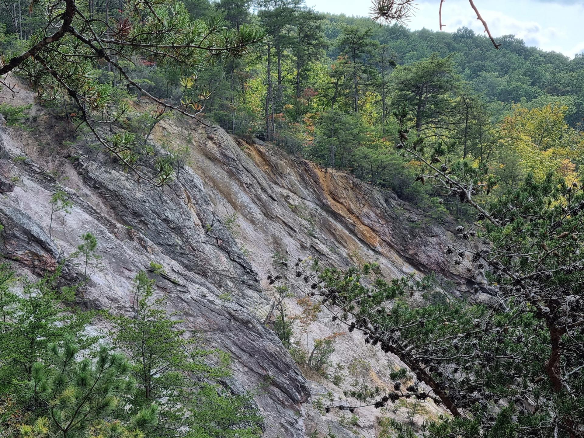 Steep, colorful rocky hillside with scattered trees under an overcast sky.