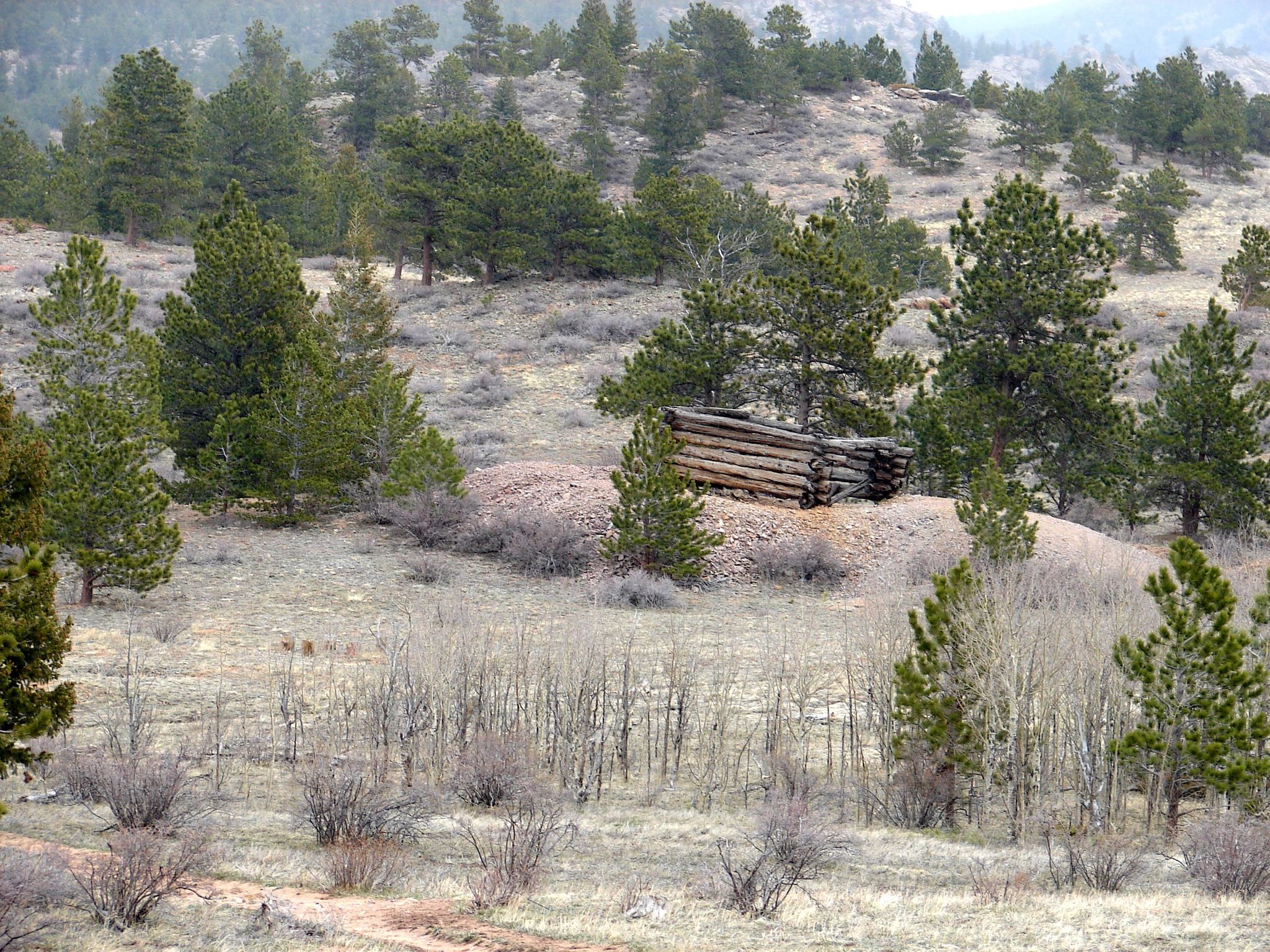 A log structure sits on a hill among pine trees in a dry, open landscape. - Rock Creek and Fox Creek Loop