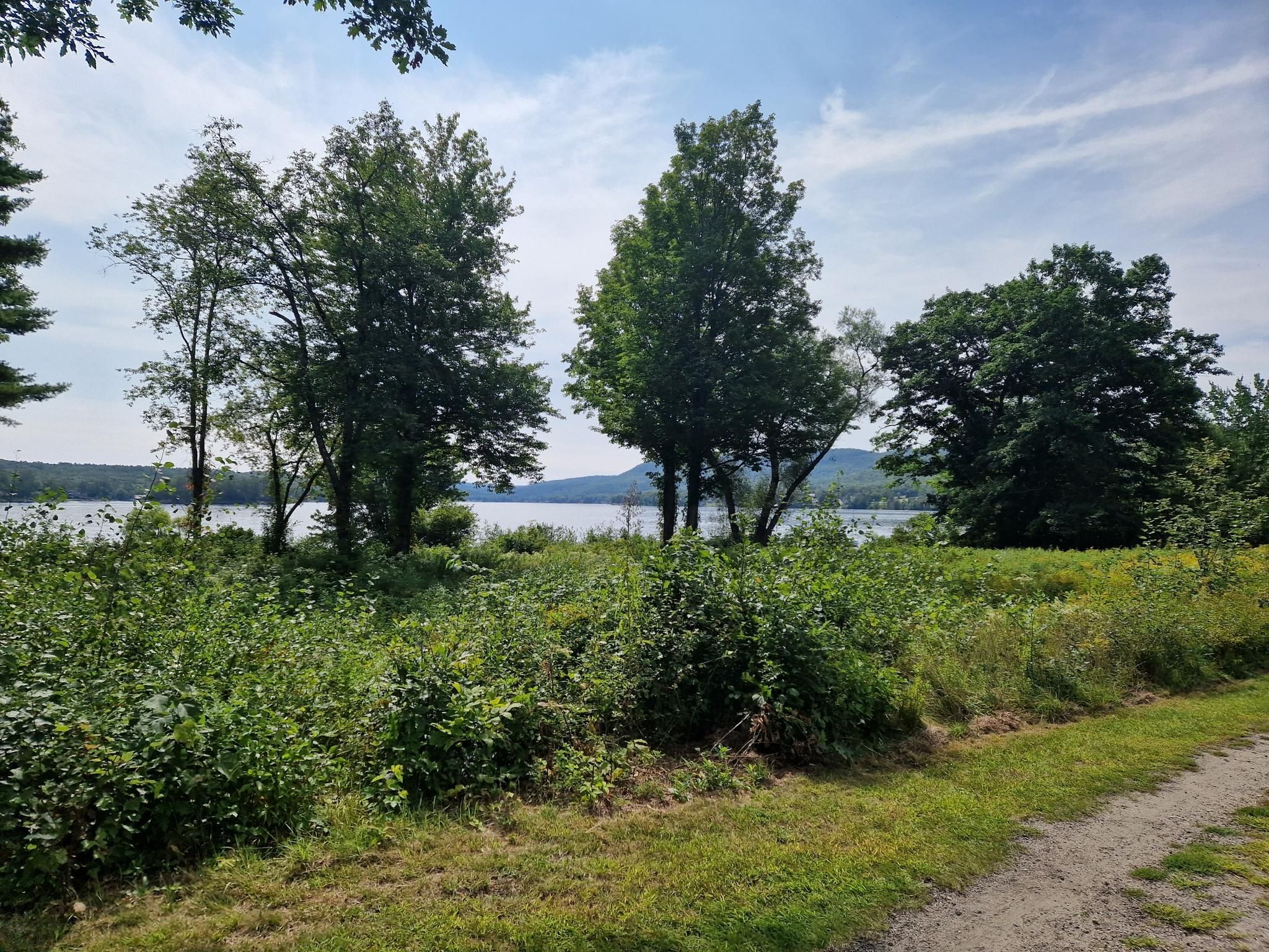 Lake visible through green trees and bushes under a bright blue sky. - Mascoma Lake running loop from Enfield