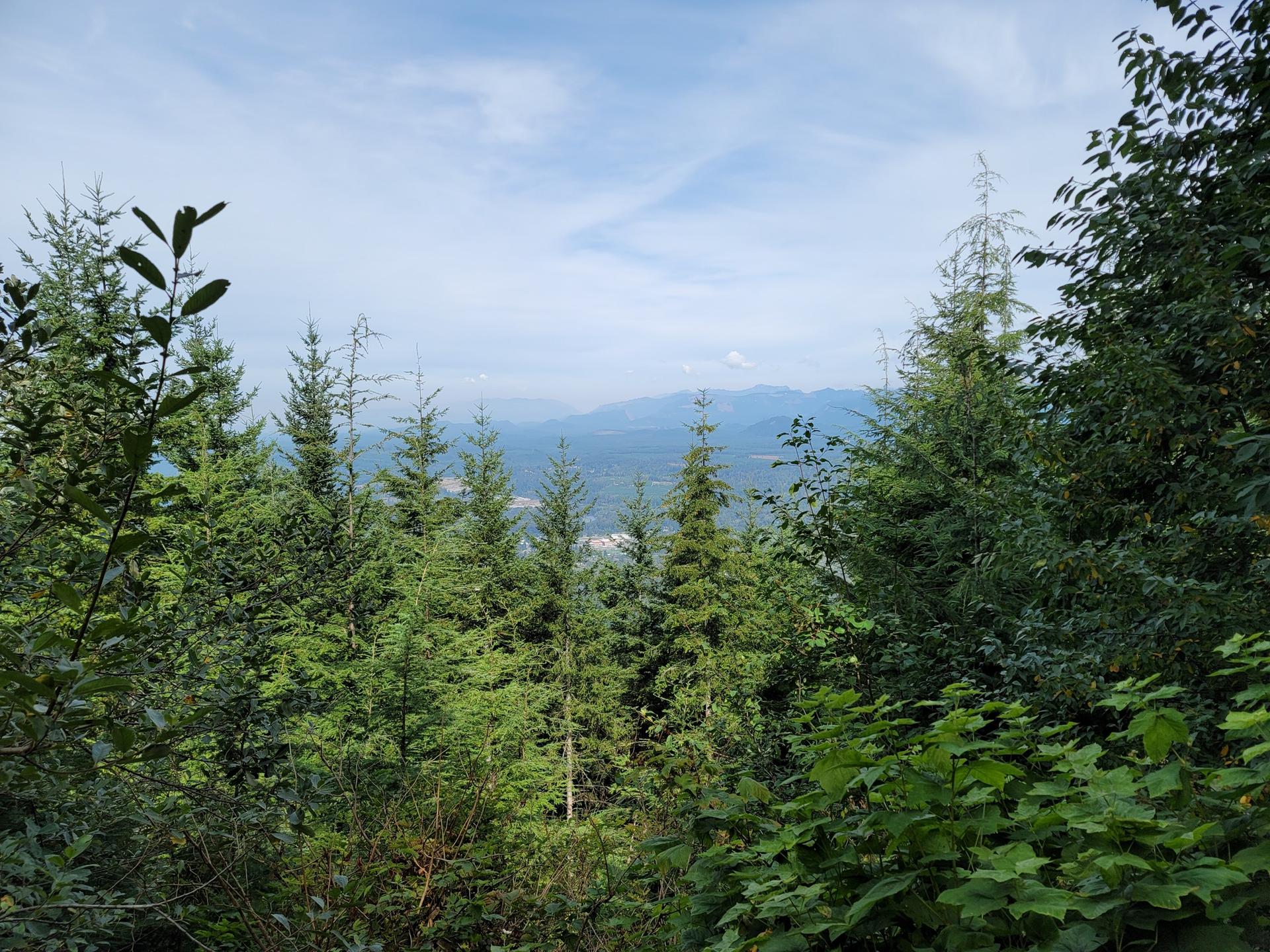 Dense evergreen forest with distant mountains visible under a cloudy sky.