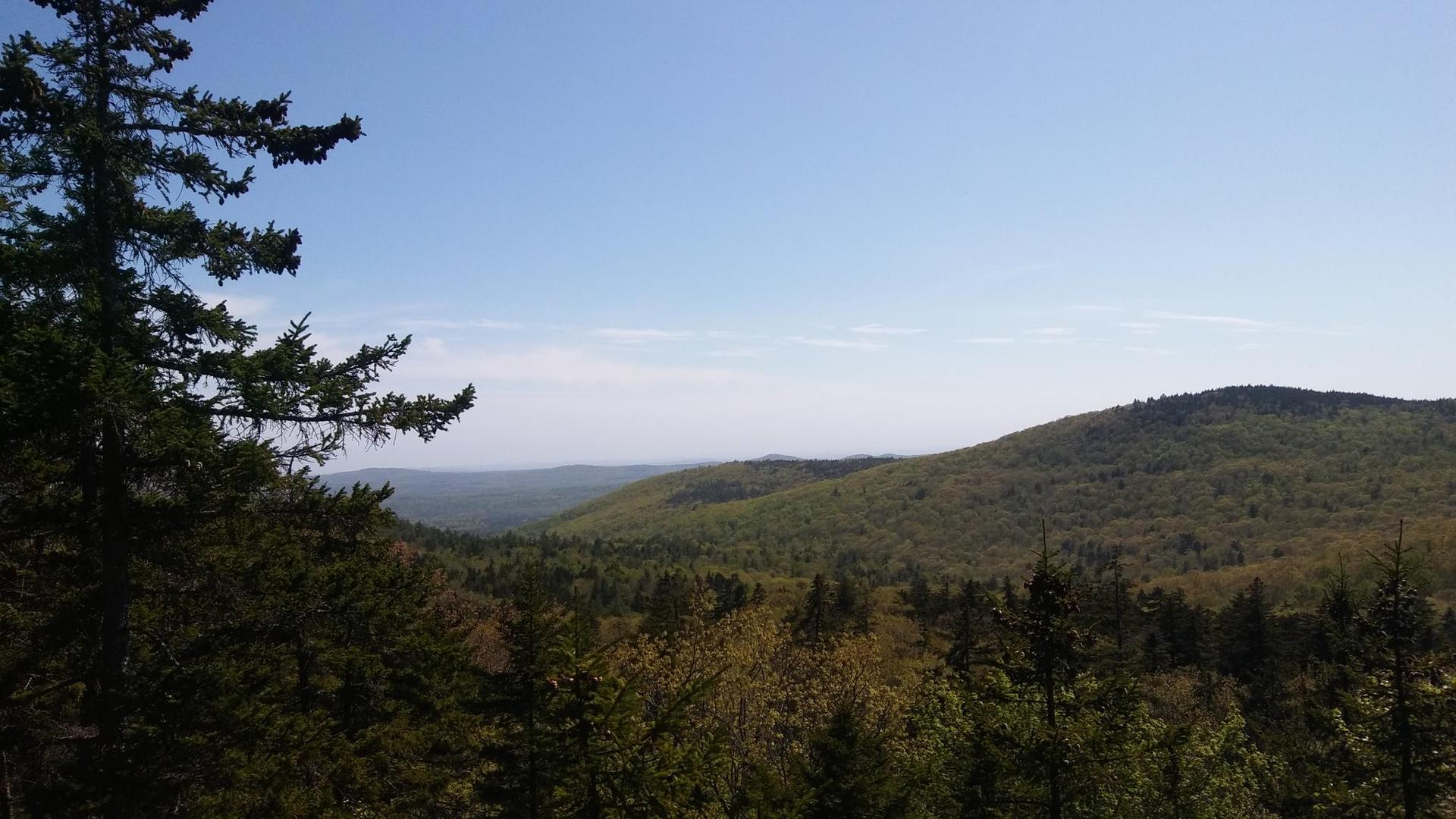 An expansive view of rolling forested hills under a clear blue sky.