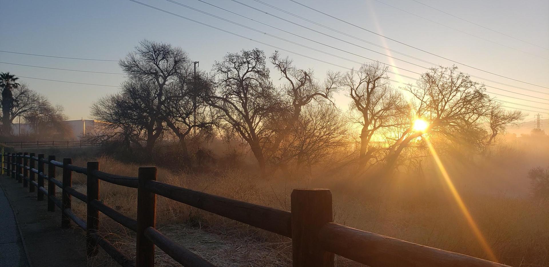 Golden sunrise peeking through bare trees and fog next to a wooden fence.