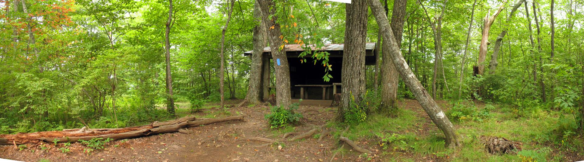 A rustic wooden shelter nestled within a dense green forest.
