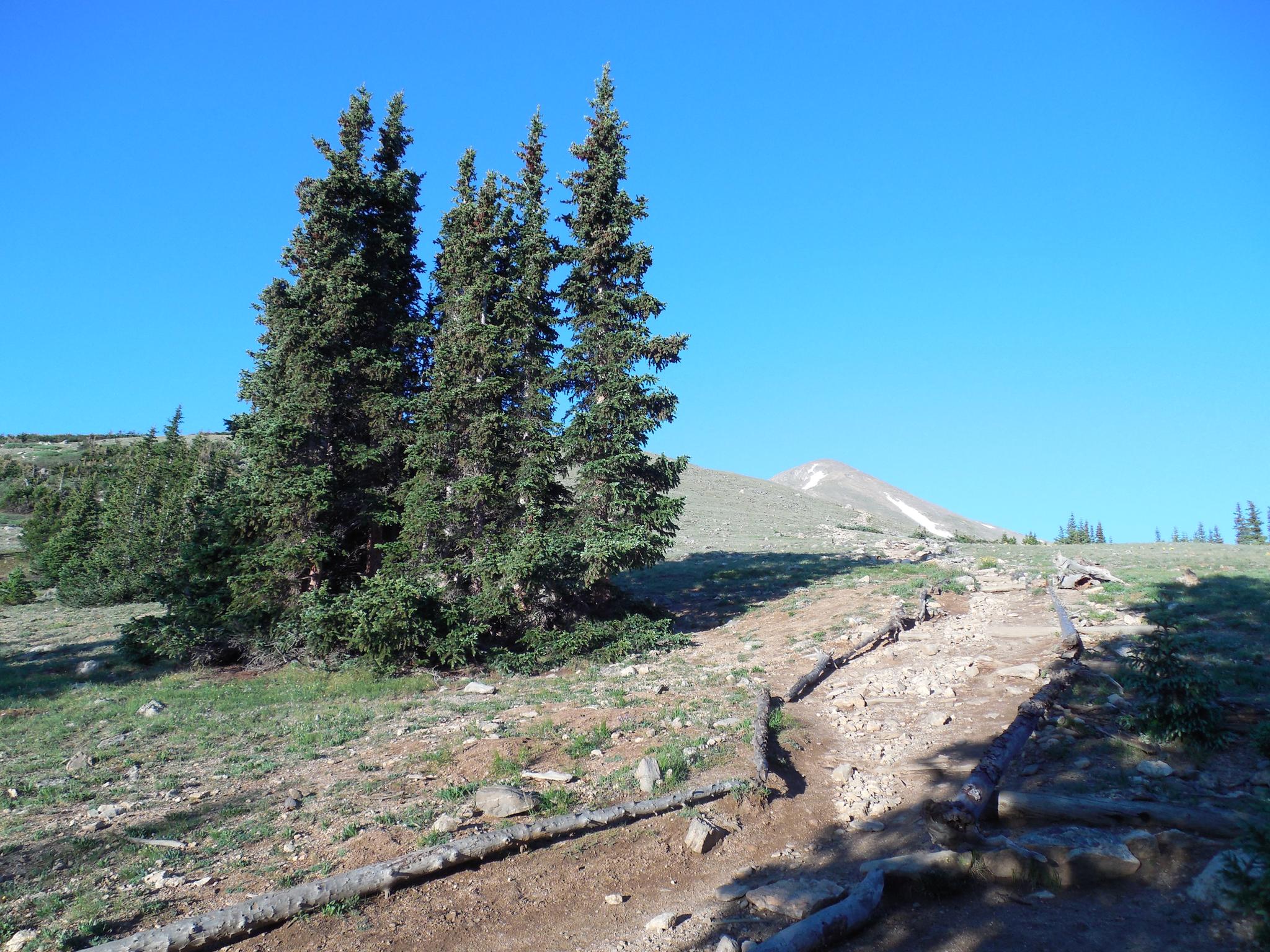 Dirt trail ascending a grassy, treeless slope towards a distant peak.