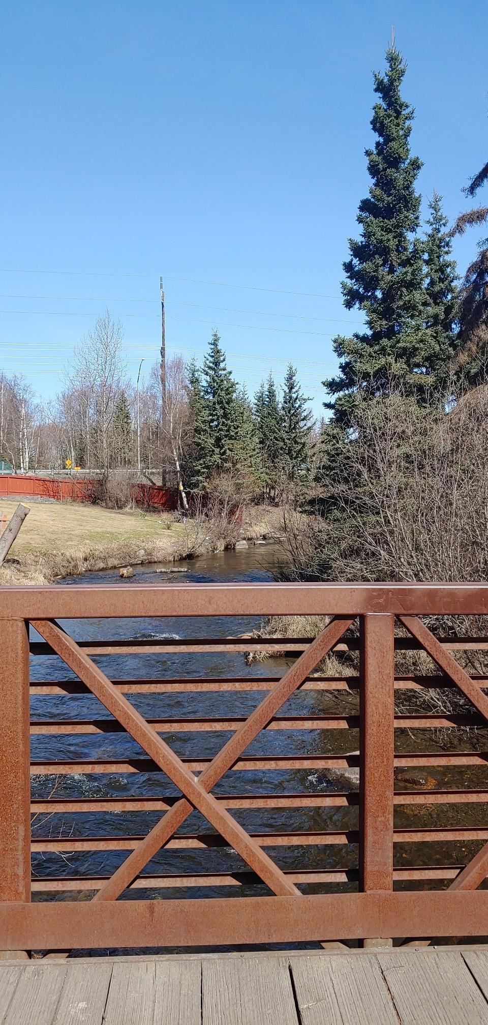 Wooden bridge railing overlooks a river with trees under a clear sky.