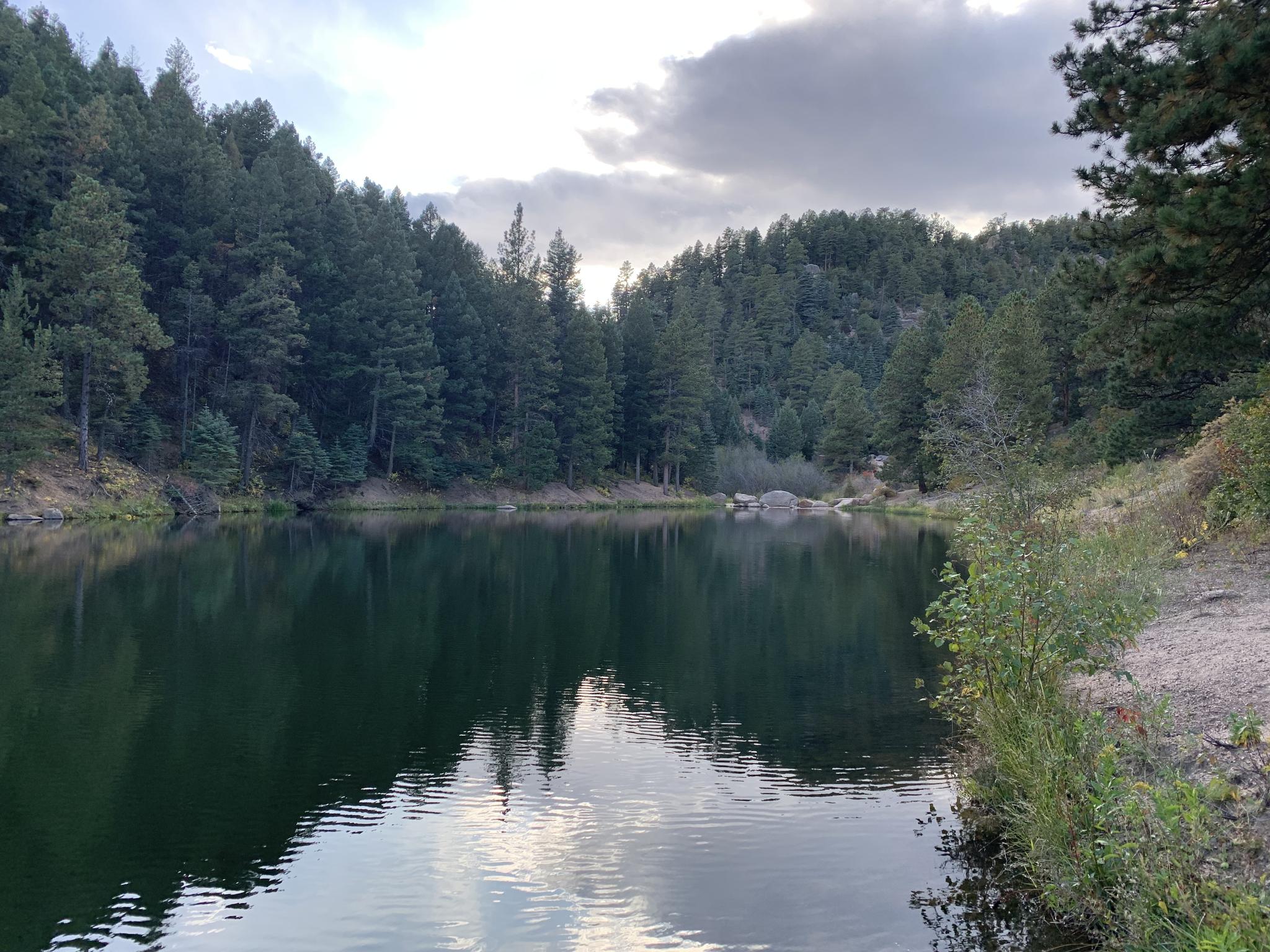 Calm lake reflecting cloudy sky, surrounded by dense pine forest.