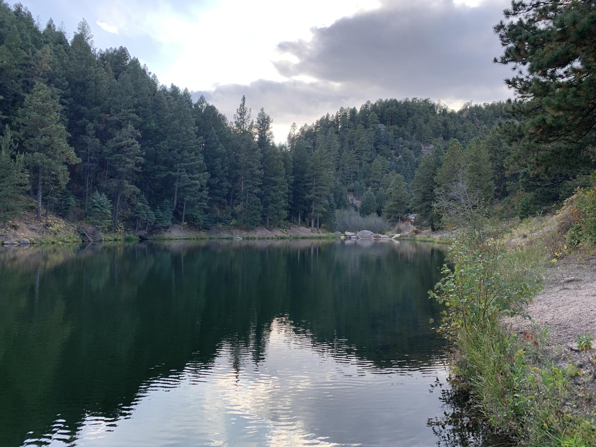 Calm lake reflecting cloudy sky, surrounded by dense pine forest.