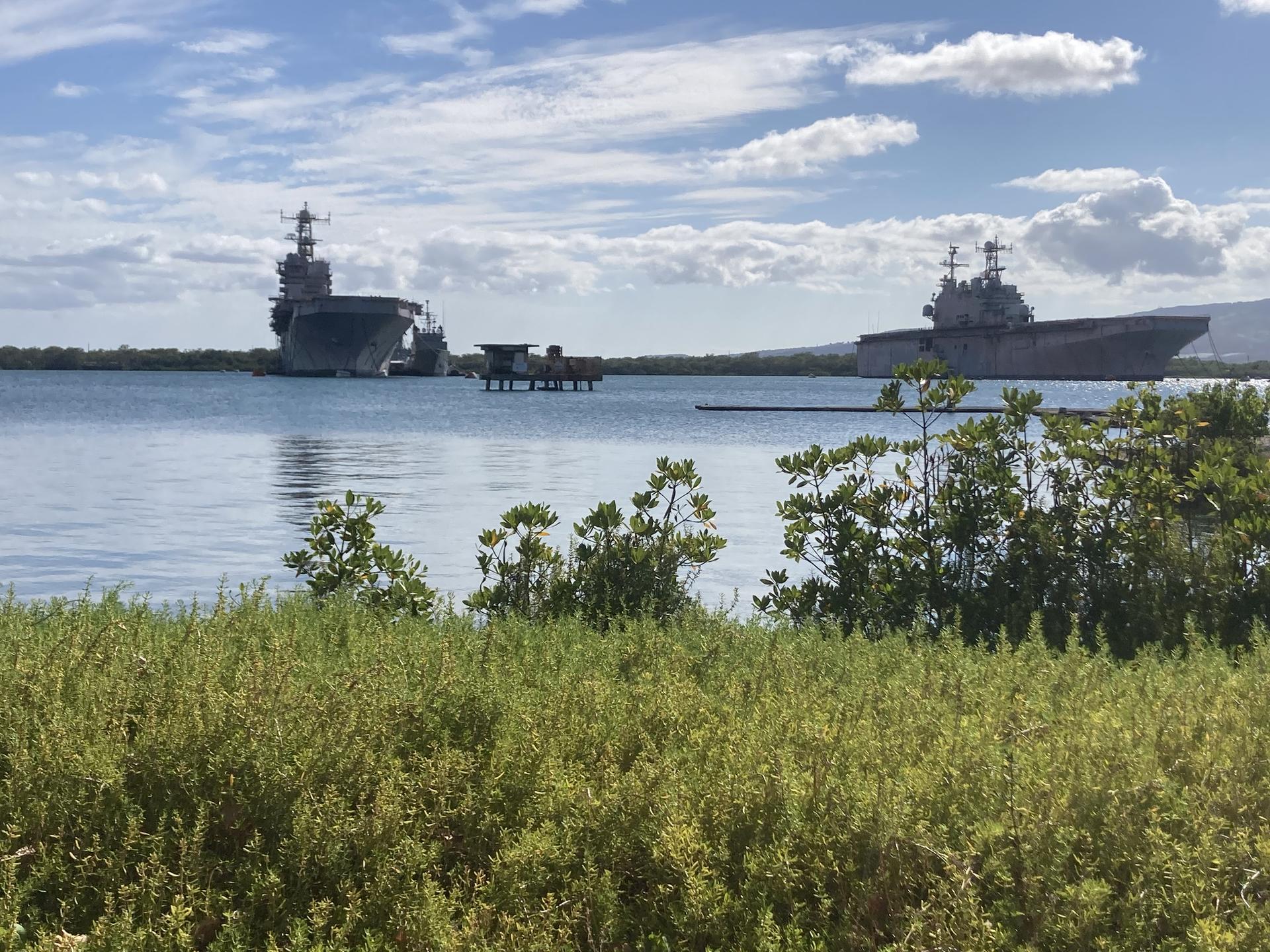 Large warships on calm water, green foliage in foreground, bright cloudy day.