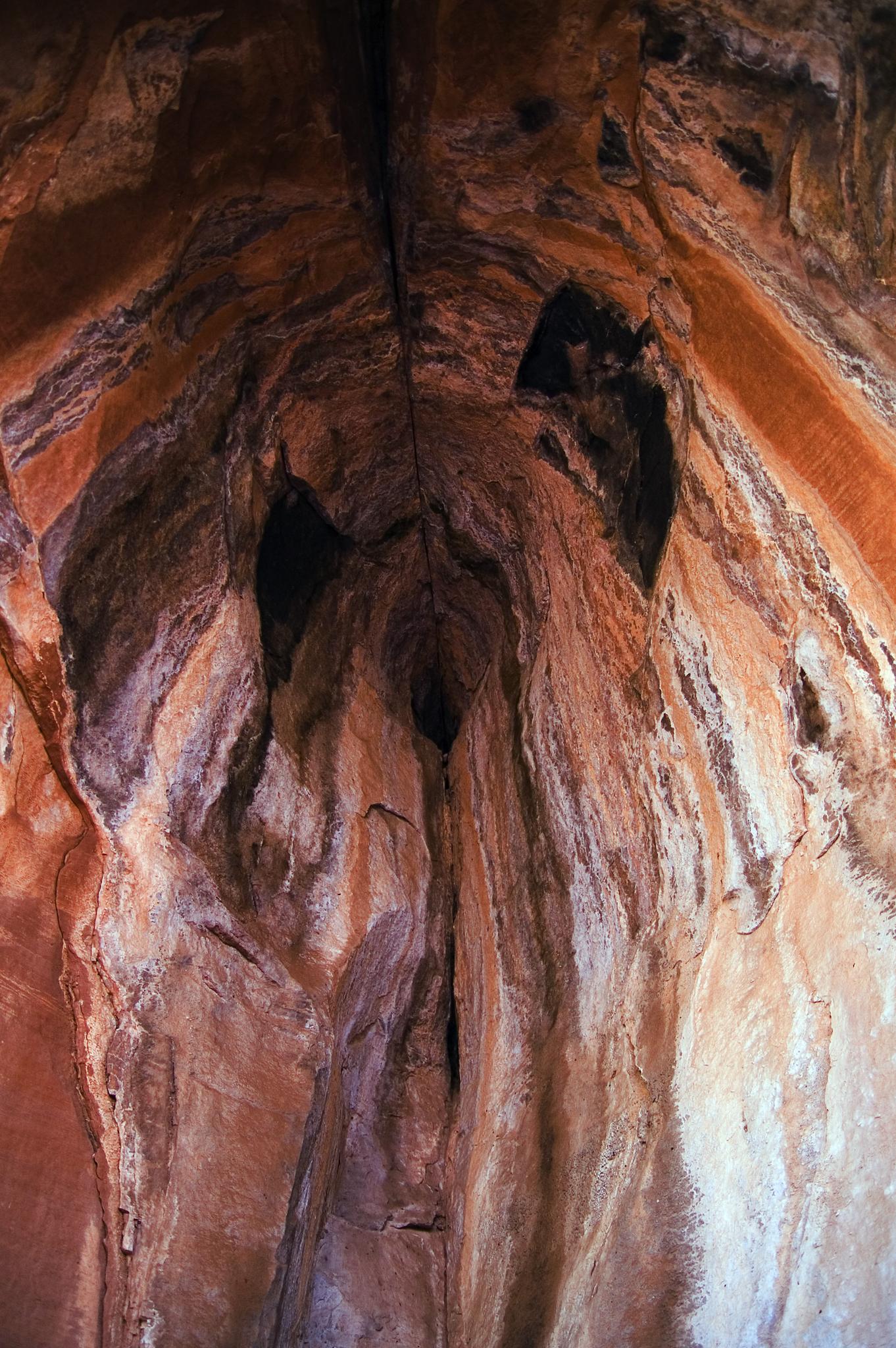 Textured reddish-brown cave interior with dark crevices and natural light.