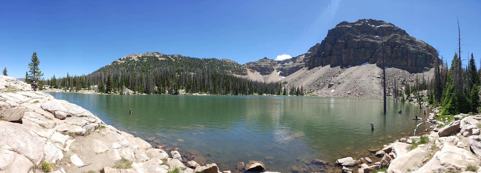 Panoramic view of a green lake with rocky shores, mountains, and pine trees.