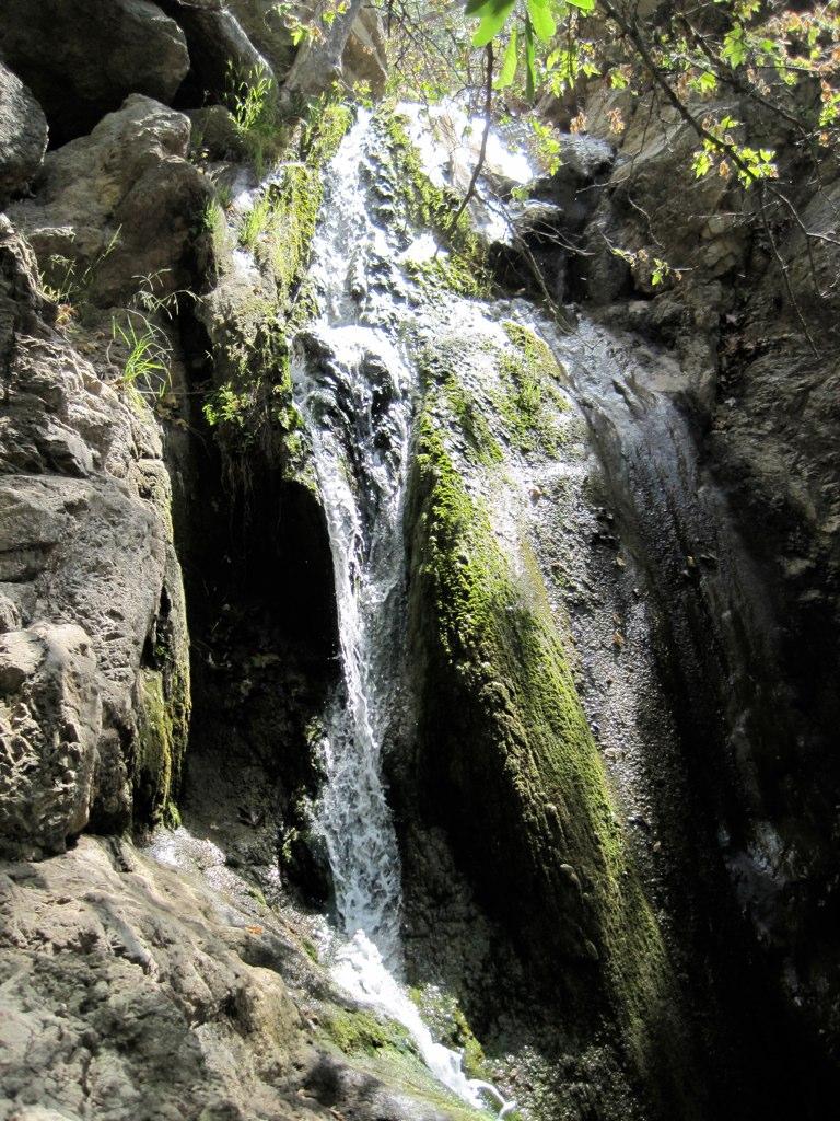 A small waterfall cascades over mossy rocks in dappled sunlight.