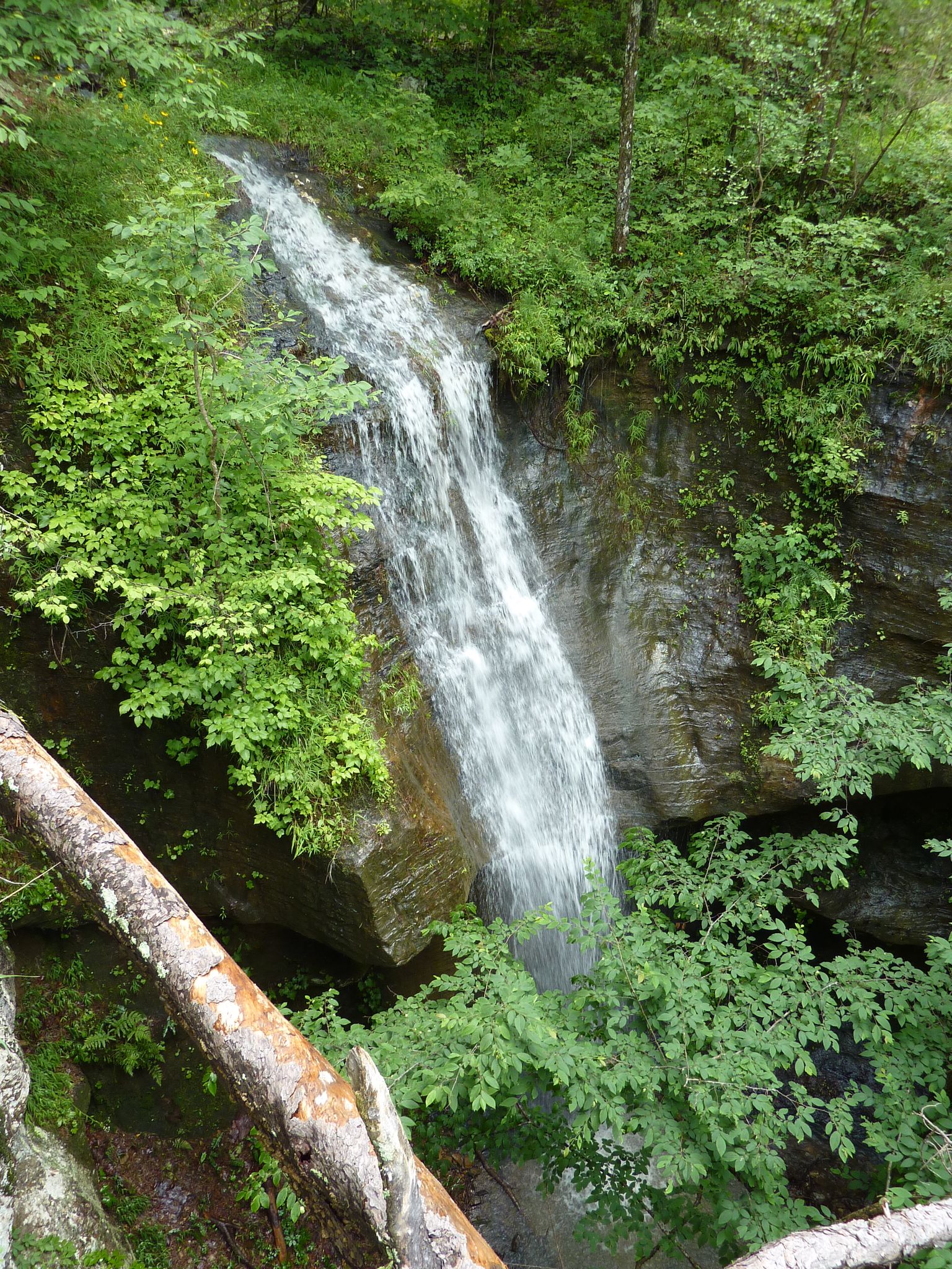 Waterfall cascading down a rocky cliff surrounded by lush green foliage. - Kings Bluff Falls loop from Pedestal Rocks Special Interest Area