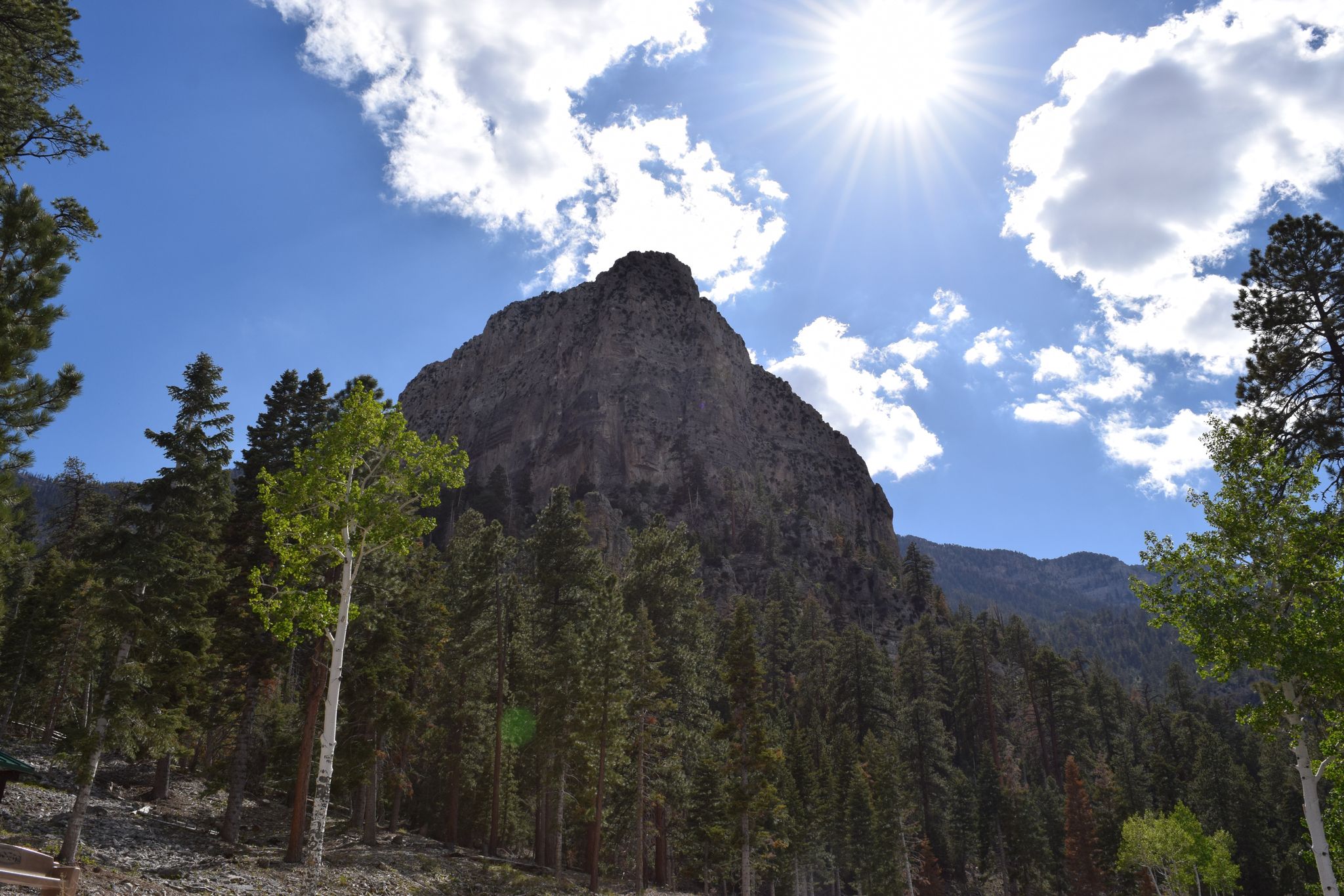 Tall, rocky mountain peak surrounded by pine trees under a bright, sunny sky. - Echo Overlook Trail