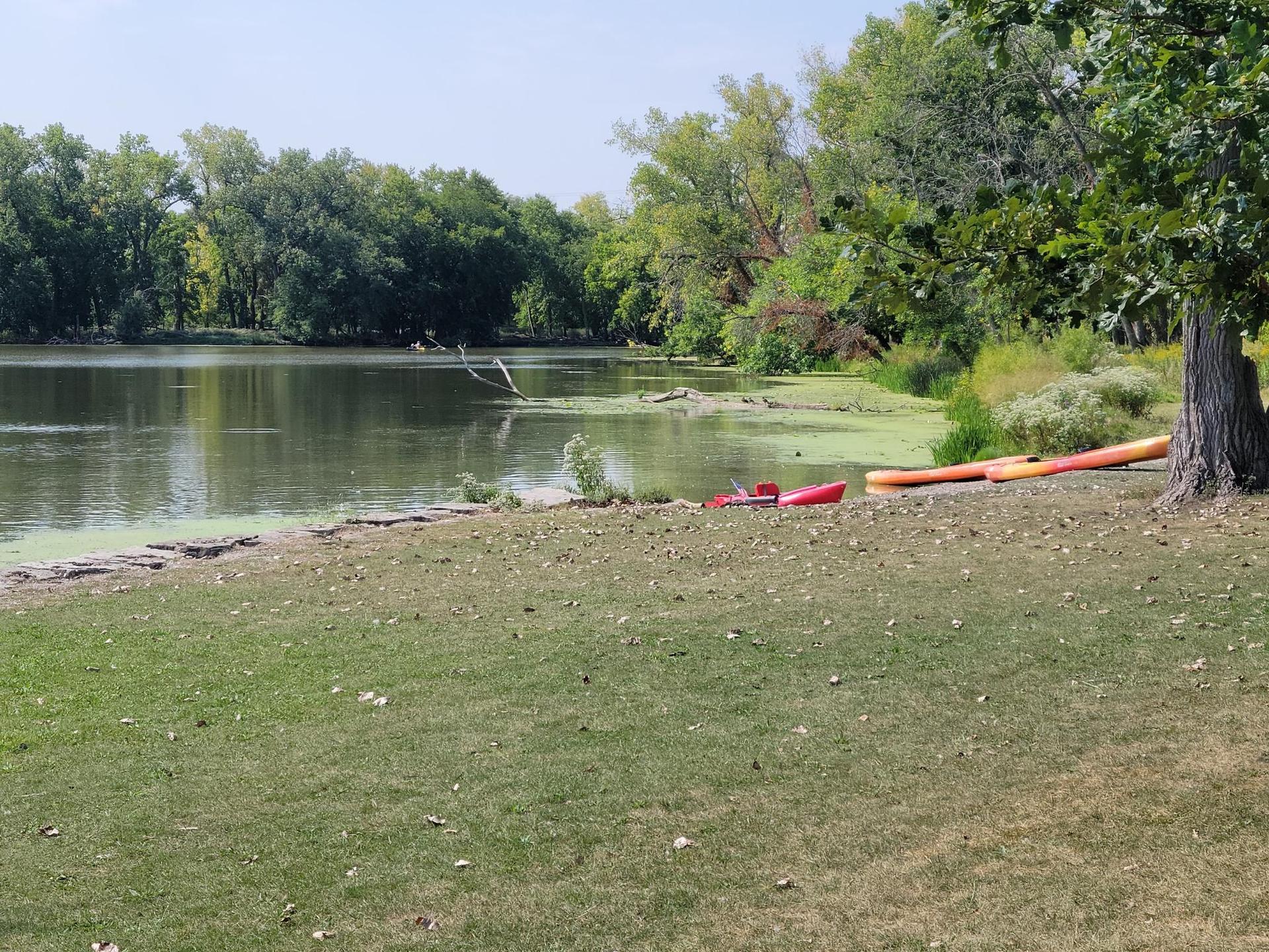 Two kayaks rest on a grassy lake shore under a bright sky.