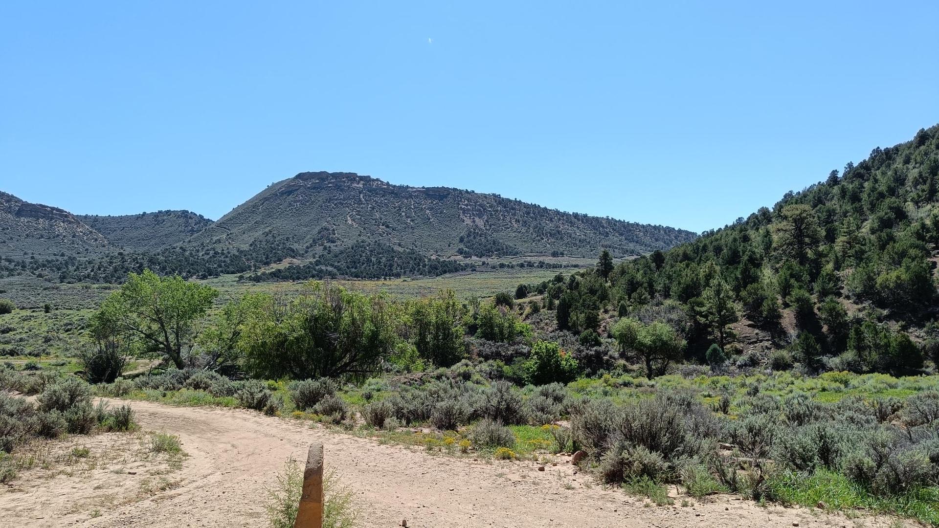 Dirt road leads through a sunny, arid valley with distant mountains.
