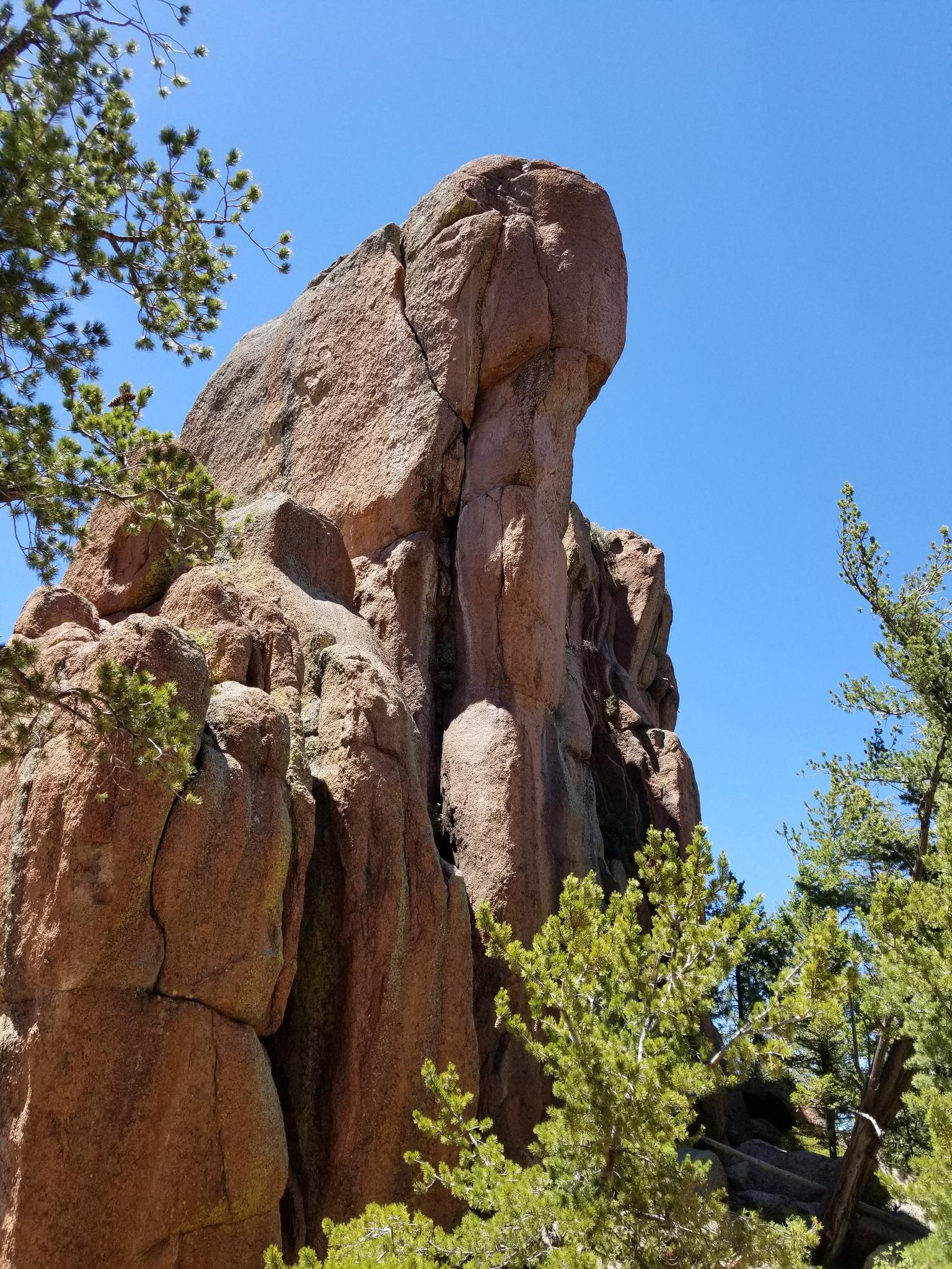 Towering weathered rock formation surrounded by green pine trees, clear sky.