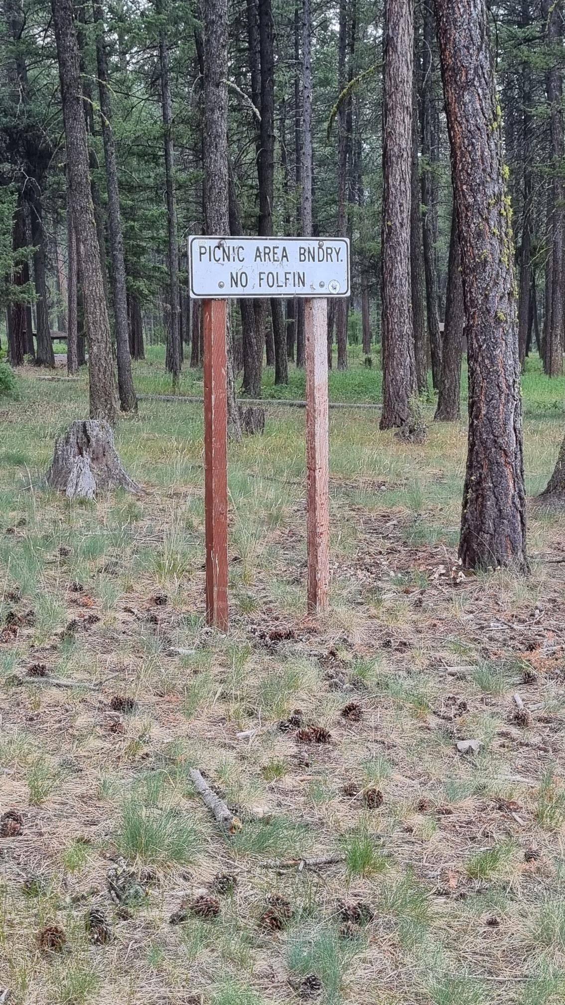 A sign on wooden posts in a pine forest with dry grass and pinecones. - Deer Creek Sneak Loop