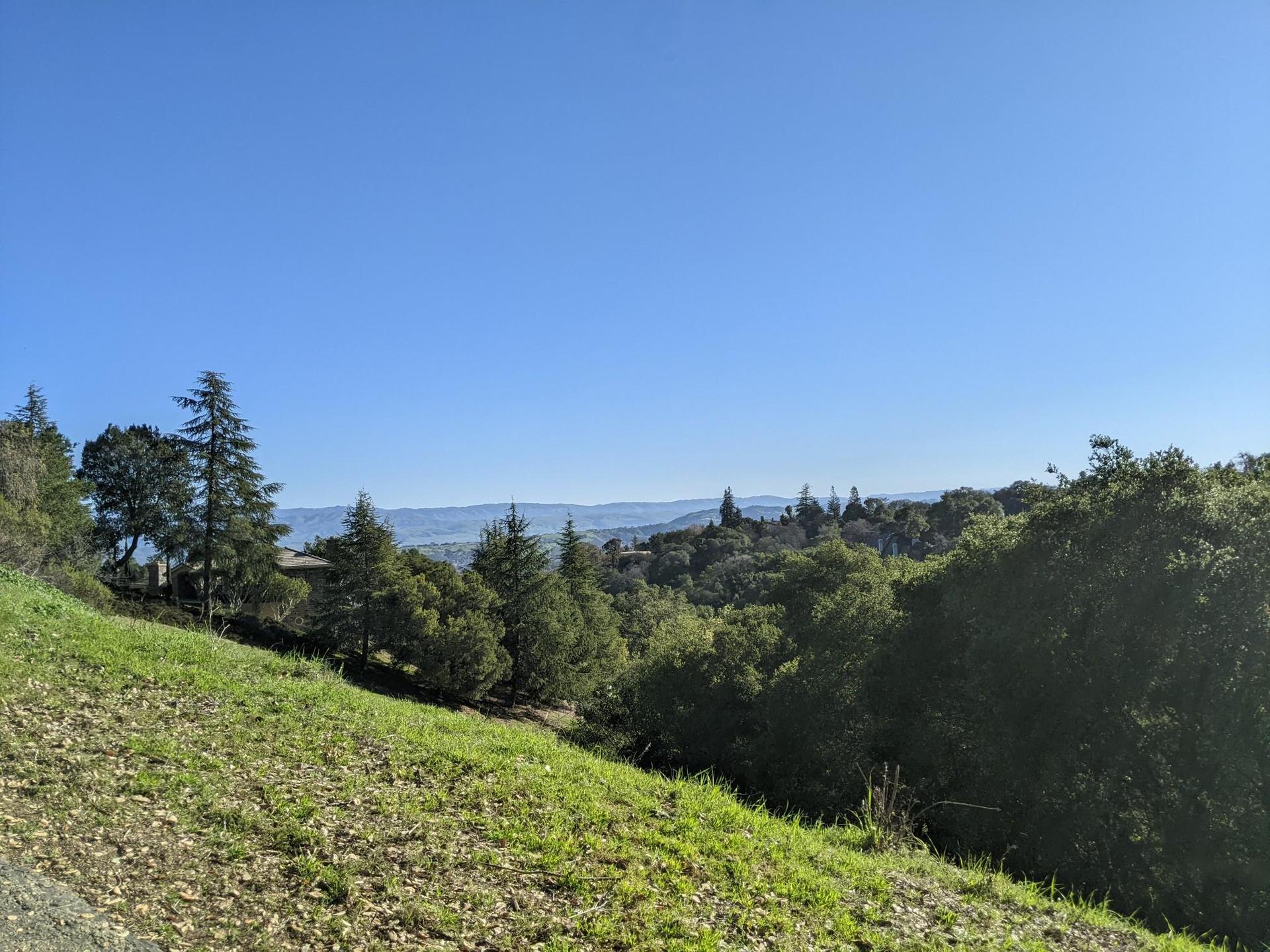 Sunny panoramic view of a green valley with dense trees and distant hills.