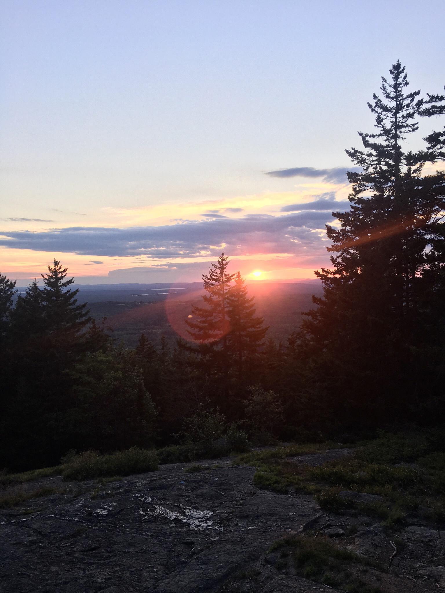 Golden sunset illuminates a forest of pine trees from a rocky viewpoint.