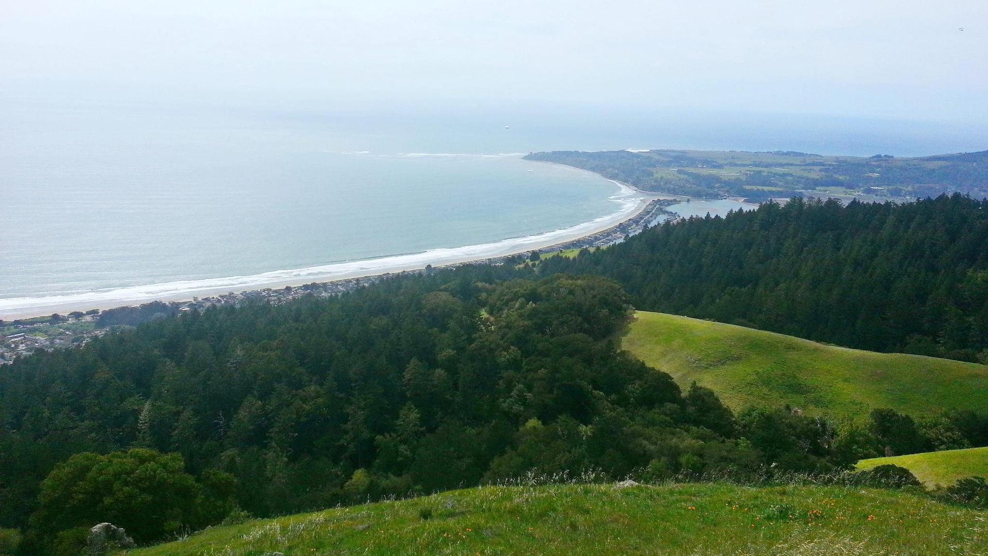 Overhead view of a long beach, ocean, and dense green forest.