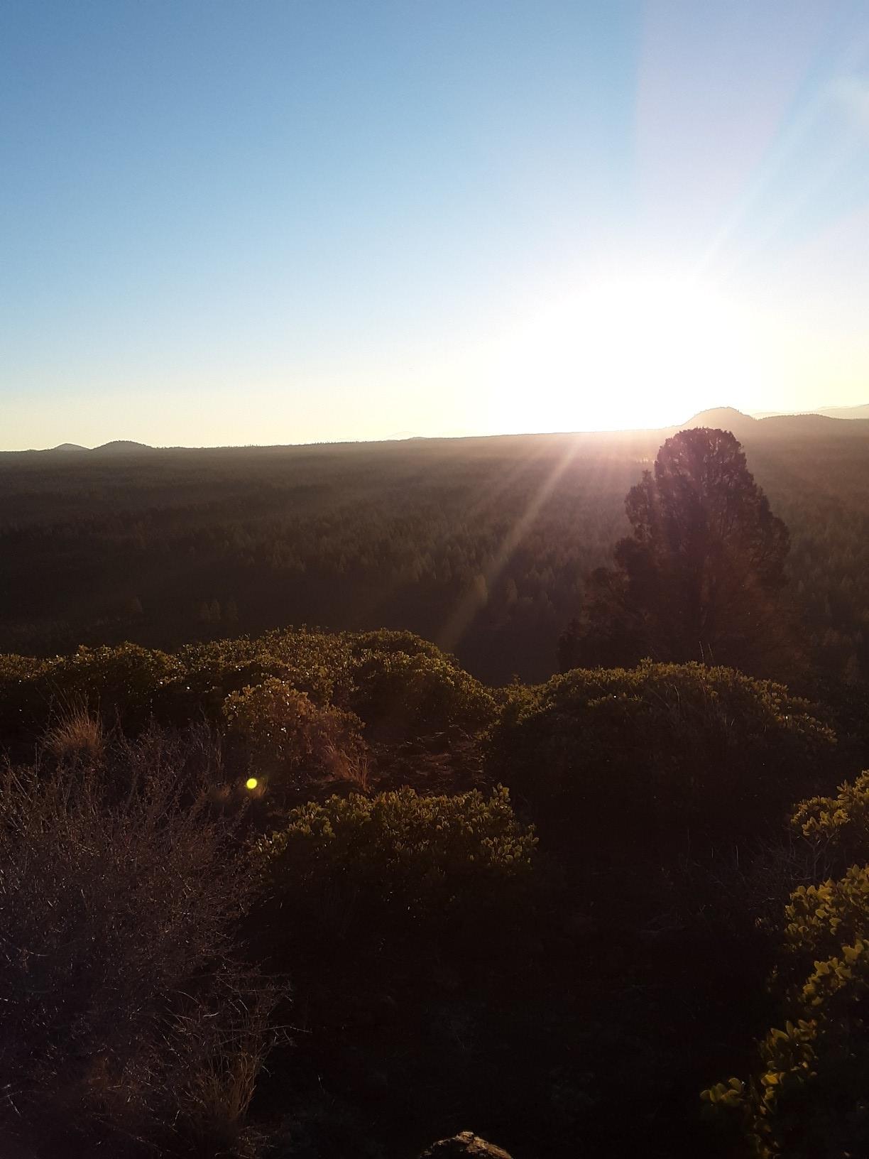 Golden sunset over a dark, dense forest with bright sun rays.