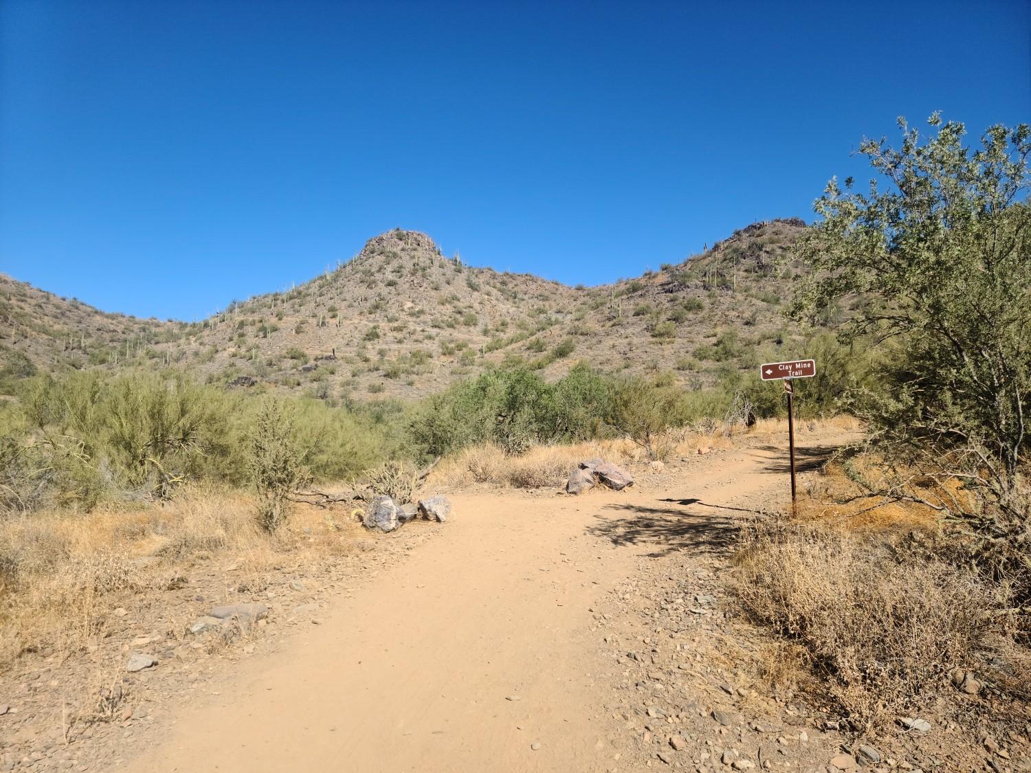 A dirt trail forks in a desert landscape with hills and a trail sign.