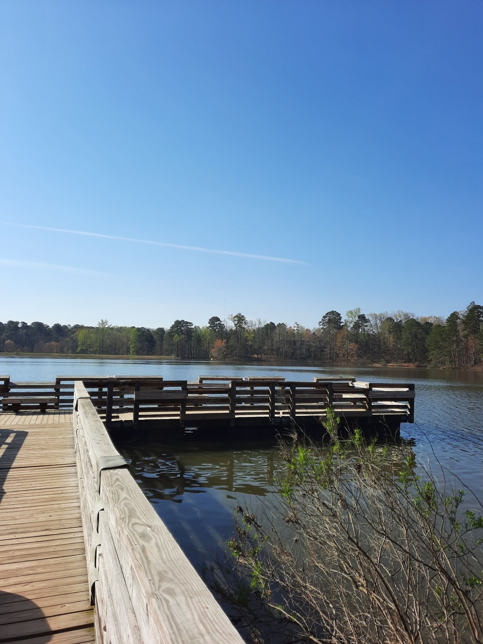 A wooden pier extends into a calm lake under a clear blue sky. - Apex Community Lake Trail