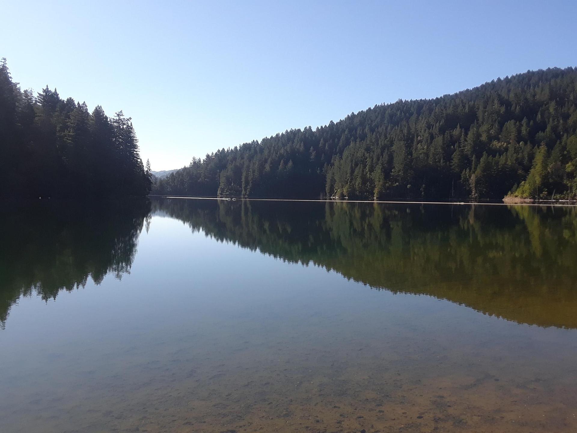 Calm lake reflecting dense evergreen forests under a clear blue sky.