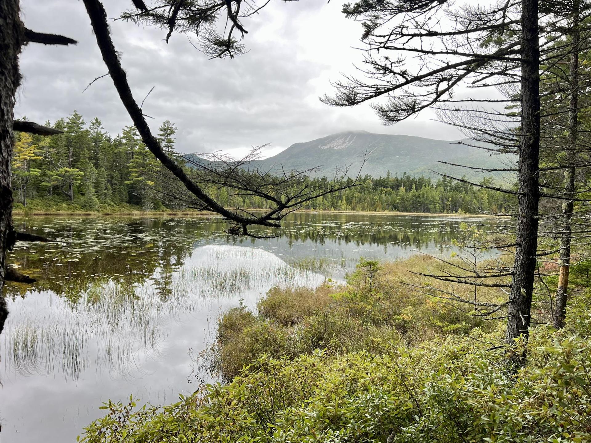 A serene lake reflecting mountains and cloudy sky, framed by dark tree branches.