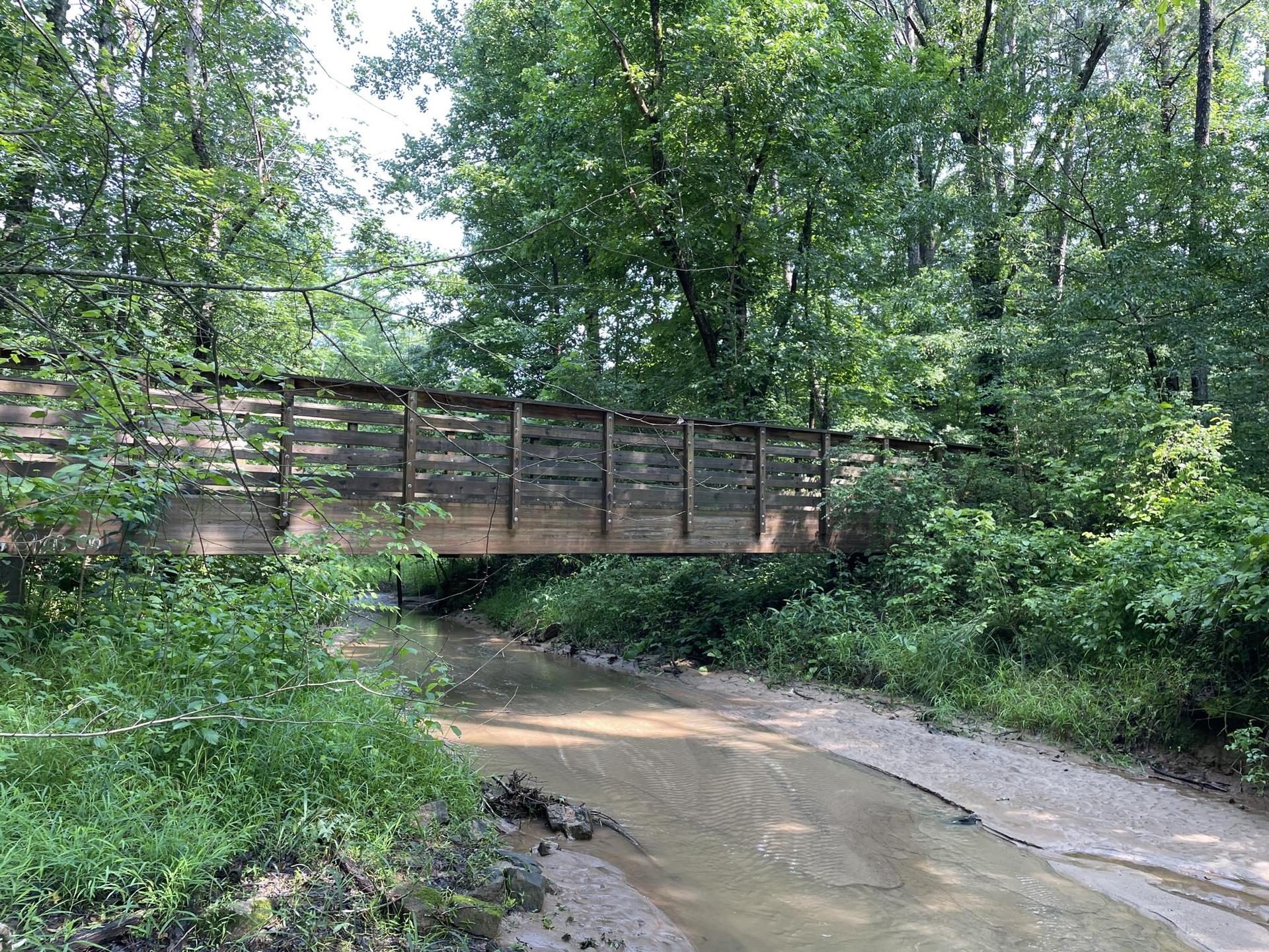 A wooden bridge spans a muddy stream in a sunlit, dense green forest.