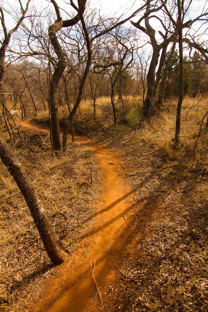Winding red dirt trail through a sunlit, dry, leafless forest. - Bluff Creek Park Unpaved Trails Loop