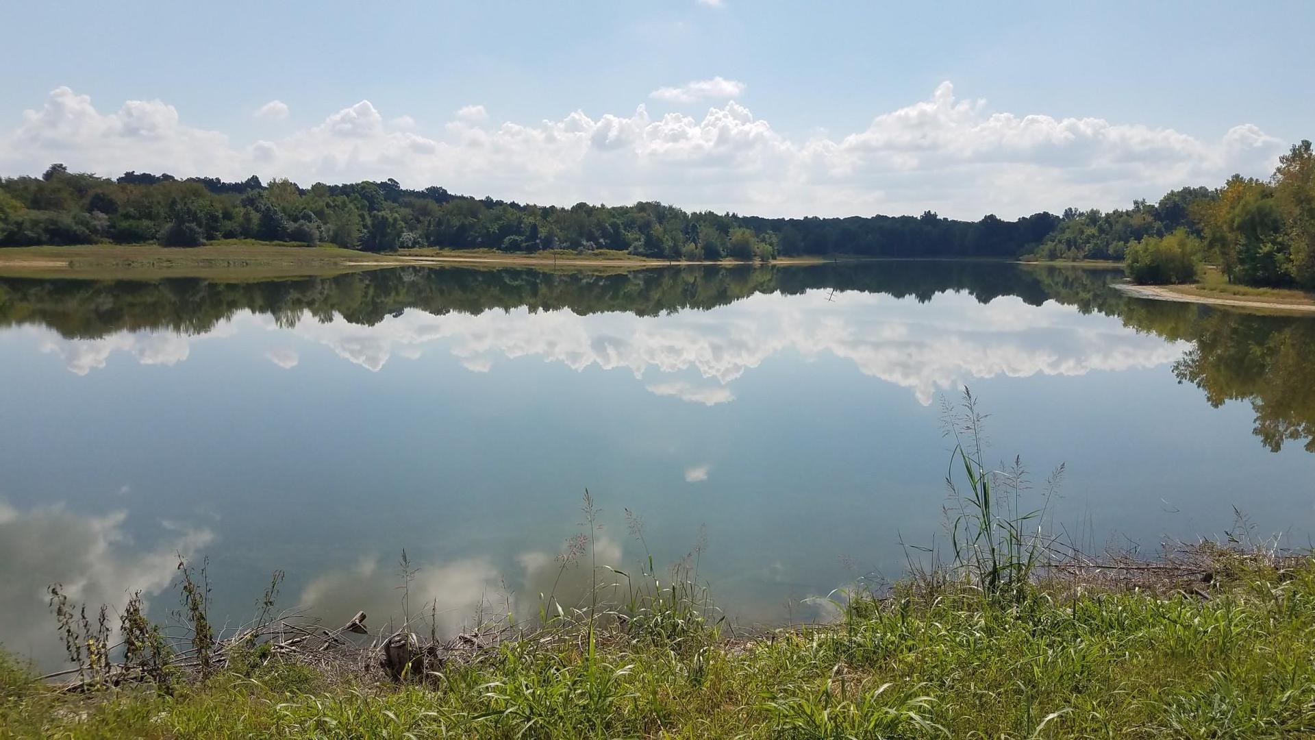 Serene lake reflecting clouds and green trees under a bright sky.