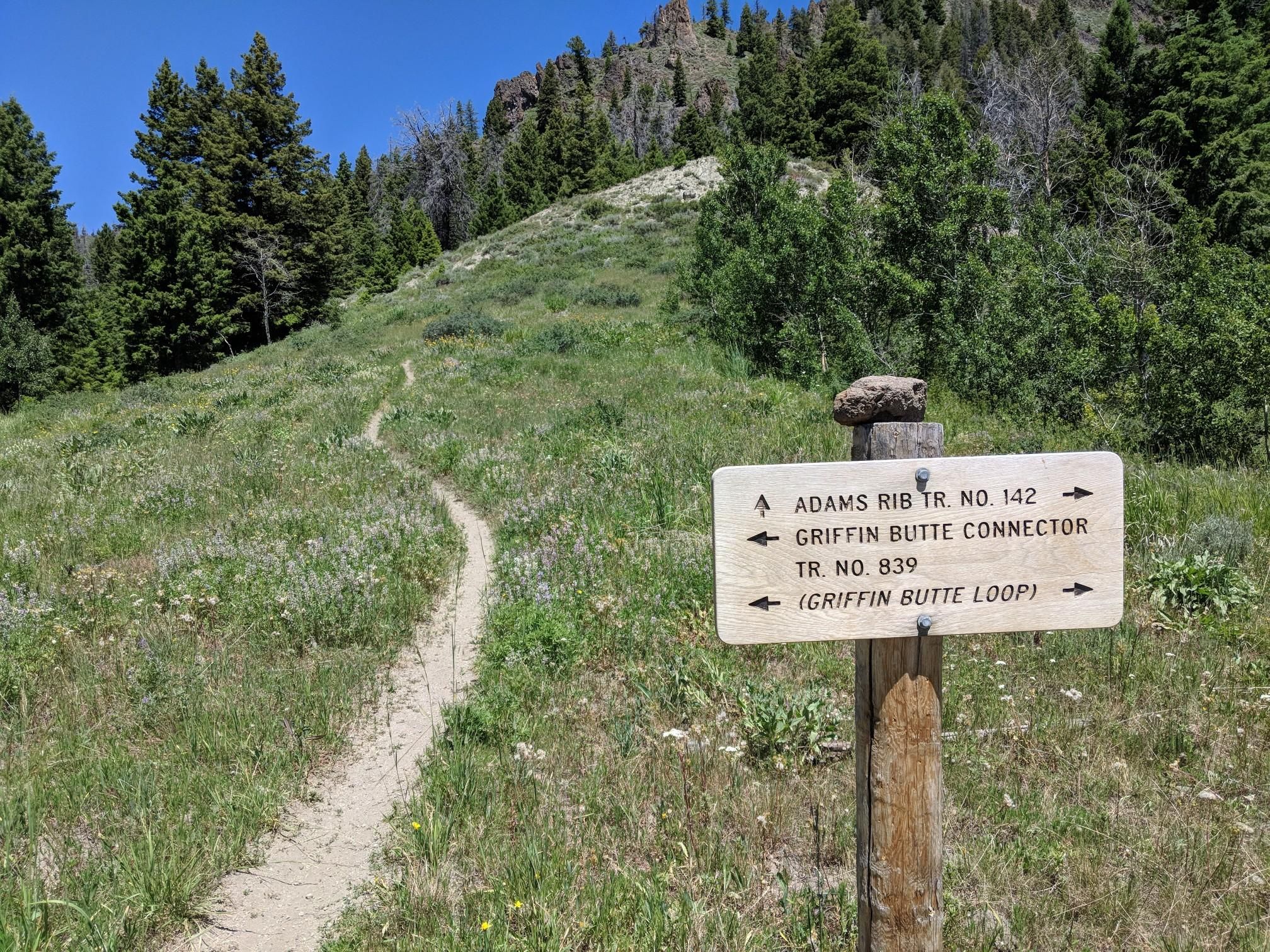 A wooden trail sign stands beside a winding dirt path on a sunny hillside. - Adams Gulch and Griffin Butte Loop