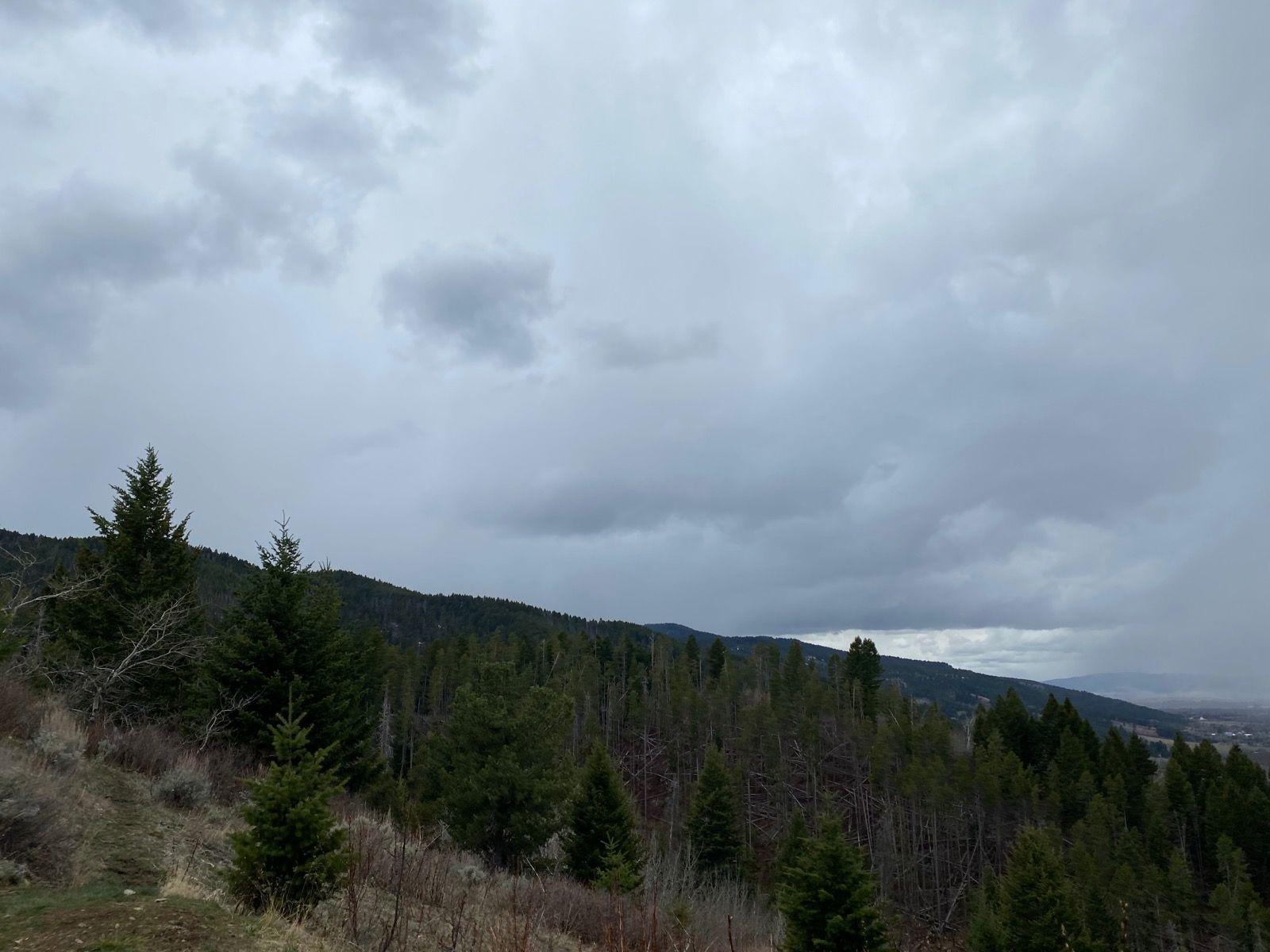 A forested hillside under a dramatic, cloudy sky, overlooking a valley.