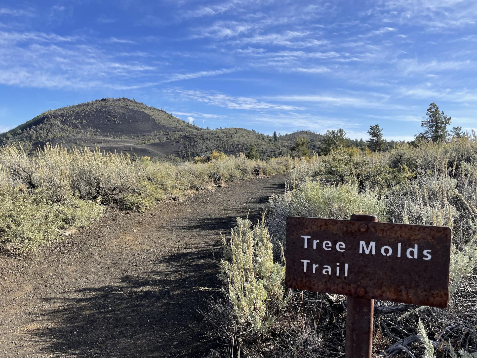 A trail sign for "Tree Molds Trail" on a dirt path.