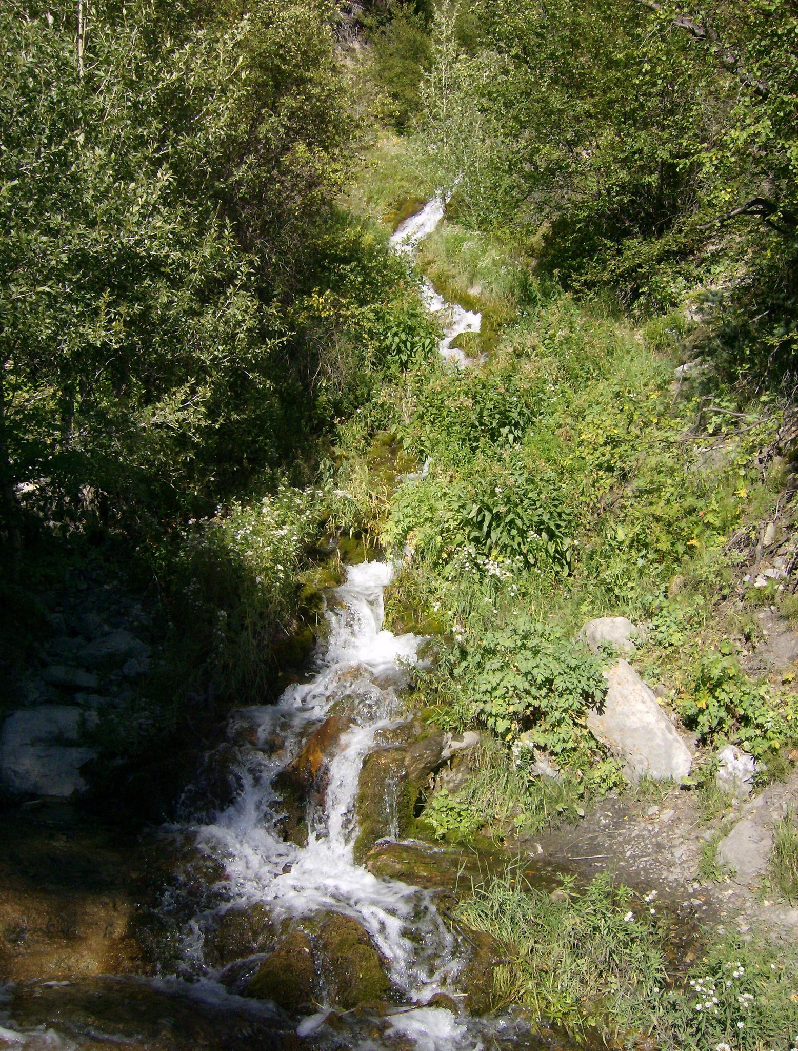 A small waterfall cascades down a lush, green, sunlit hillside.