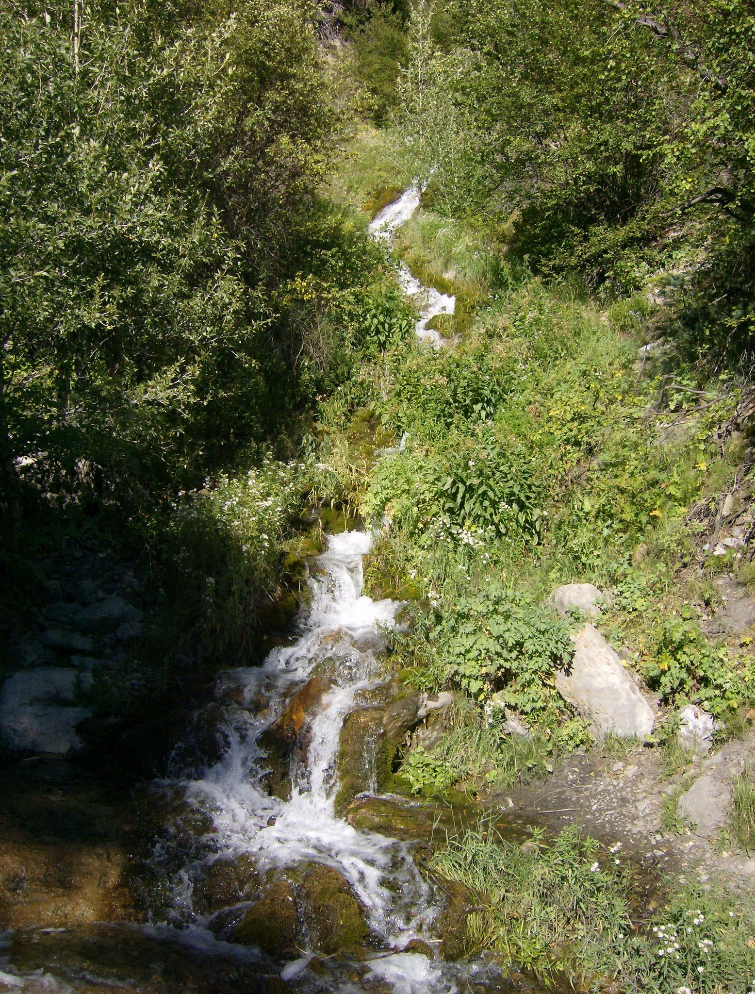 A small waterfall cascades down a lush, green, sunlit hillside. - Grove Creek Trail