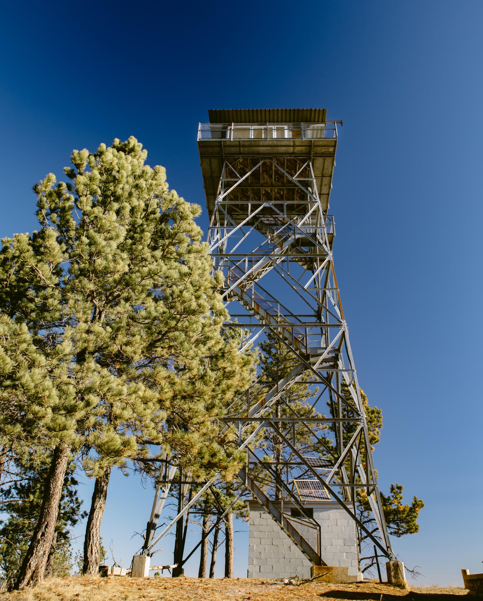 A tall metal observation tower stands among pine trees under a clear sky.