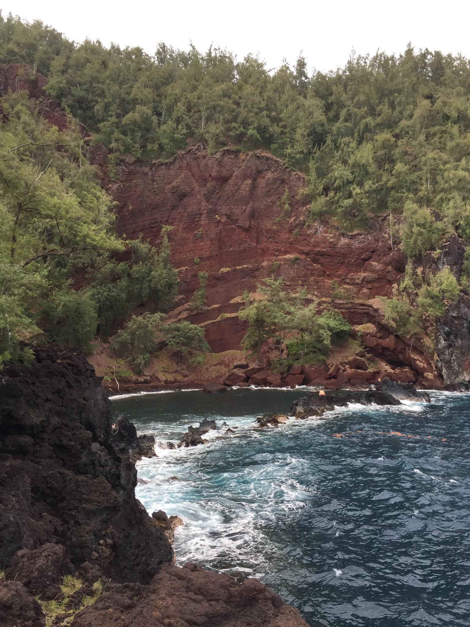 Steep red and dark cliffs covered in trees overlooking a turbulent blue ocean.