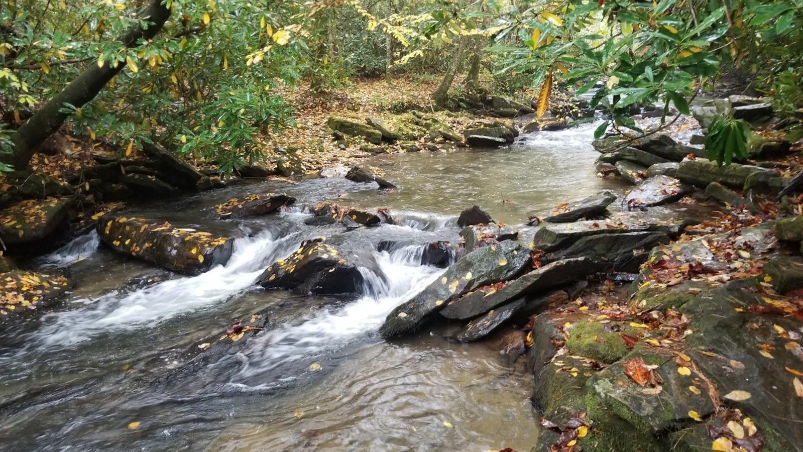 A rocky stream flows through an autumn forest under natural light. - Mountains to Sea Trail: Blue Ridge Parkway Section
