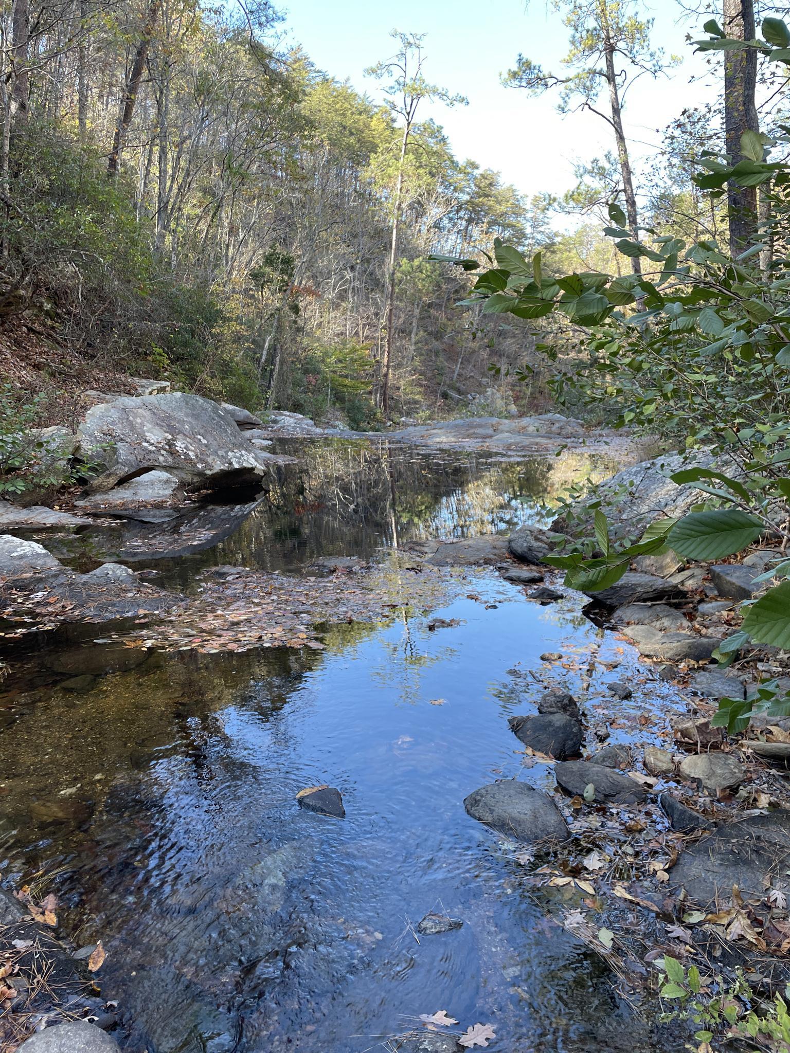 Calm forest stream reflecting trees and sky on a bright, clear day.