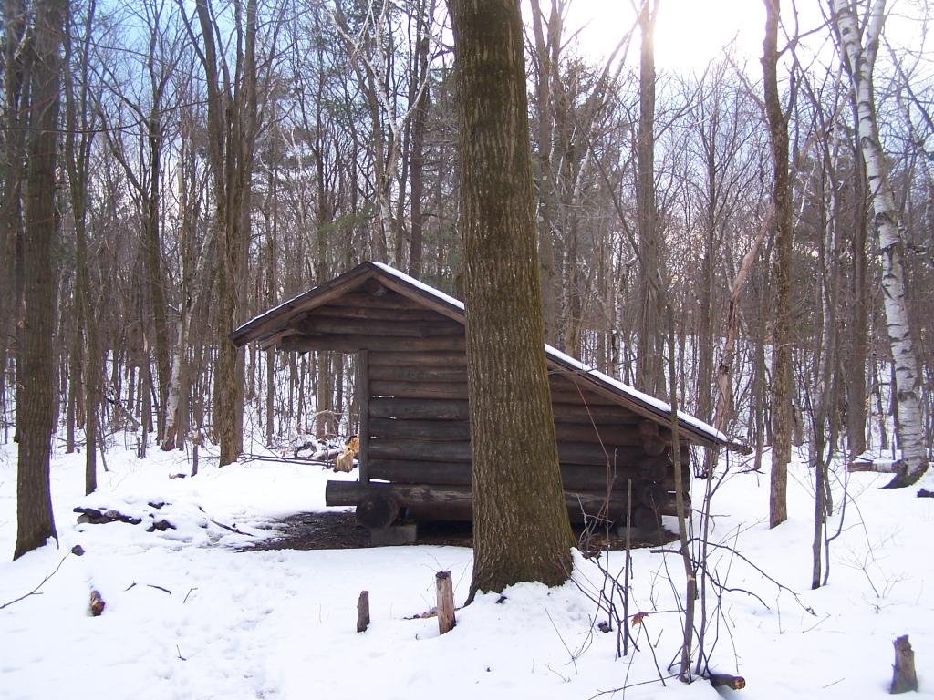 Rustic wooden lean-to shelter nestled in a snowy, bare forest.
