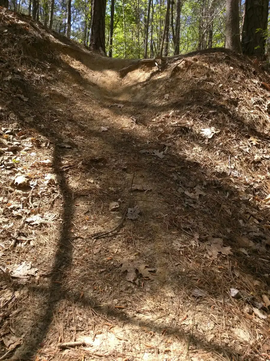 Uphill dirt path through a sunny forest with dappled light.