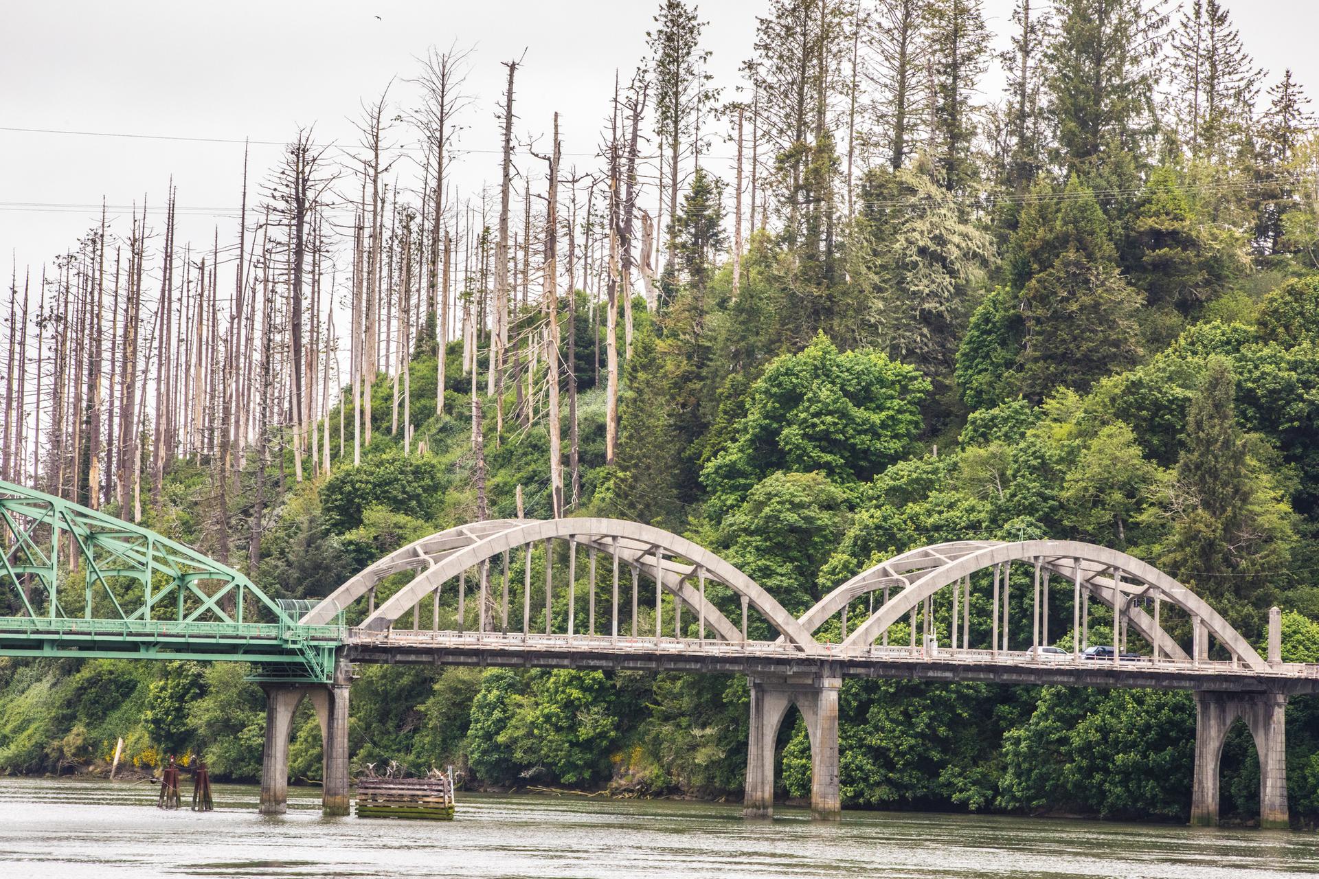 Two bridges, one steel and one concrete, over water with a forested hill.