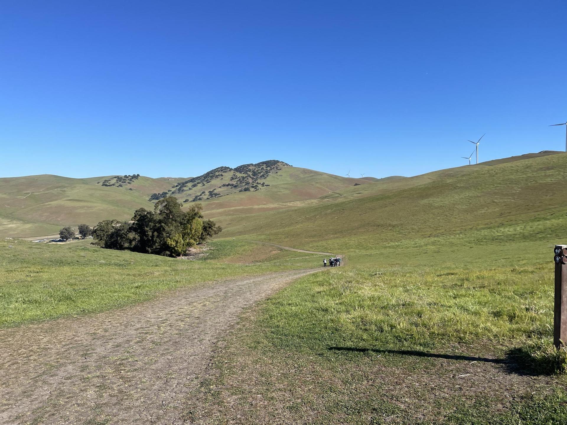A dirt path winds through sunny green rolling hills with distant windmills.
