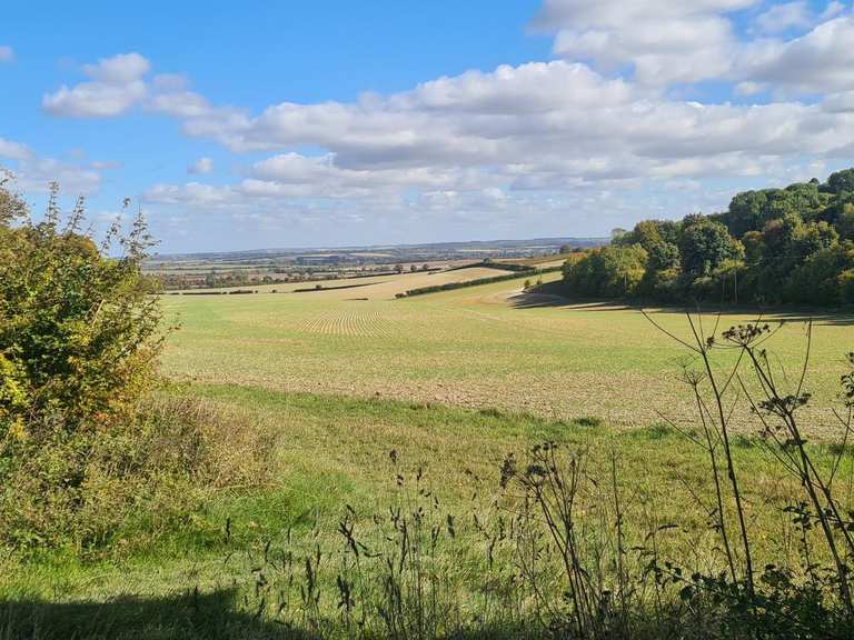 Lodgefield Plantation and Knocking Hoe National Nature Reserve loop ...
